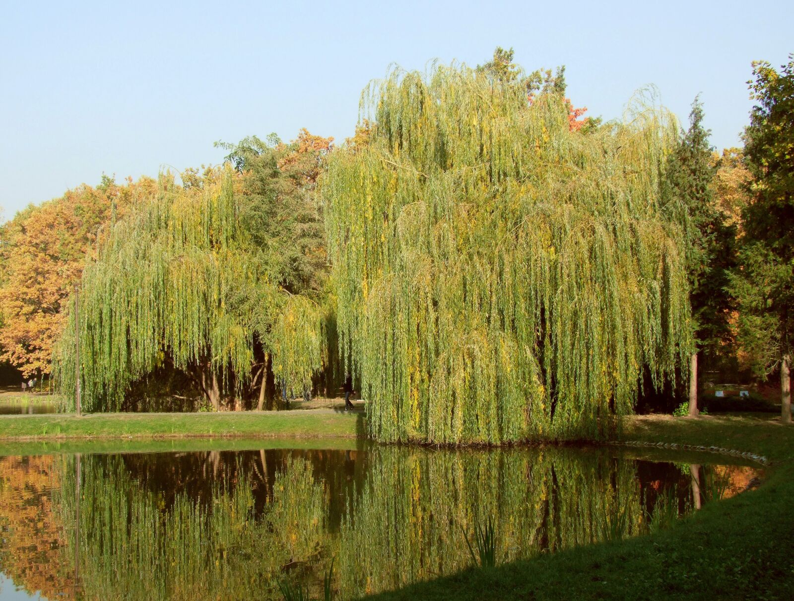 Fujifilm FinePix S100fs sample photo. Lake, water, trees photography