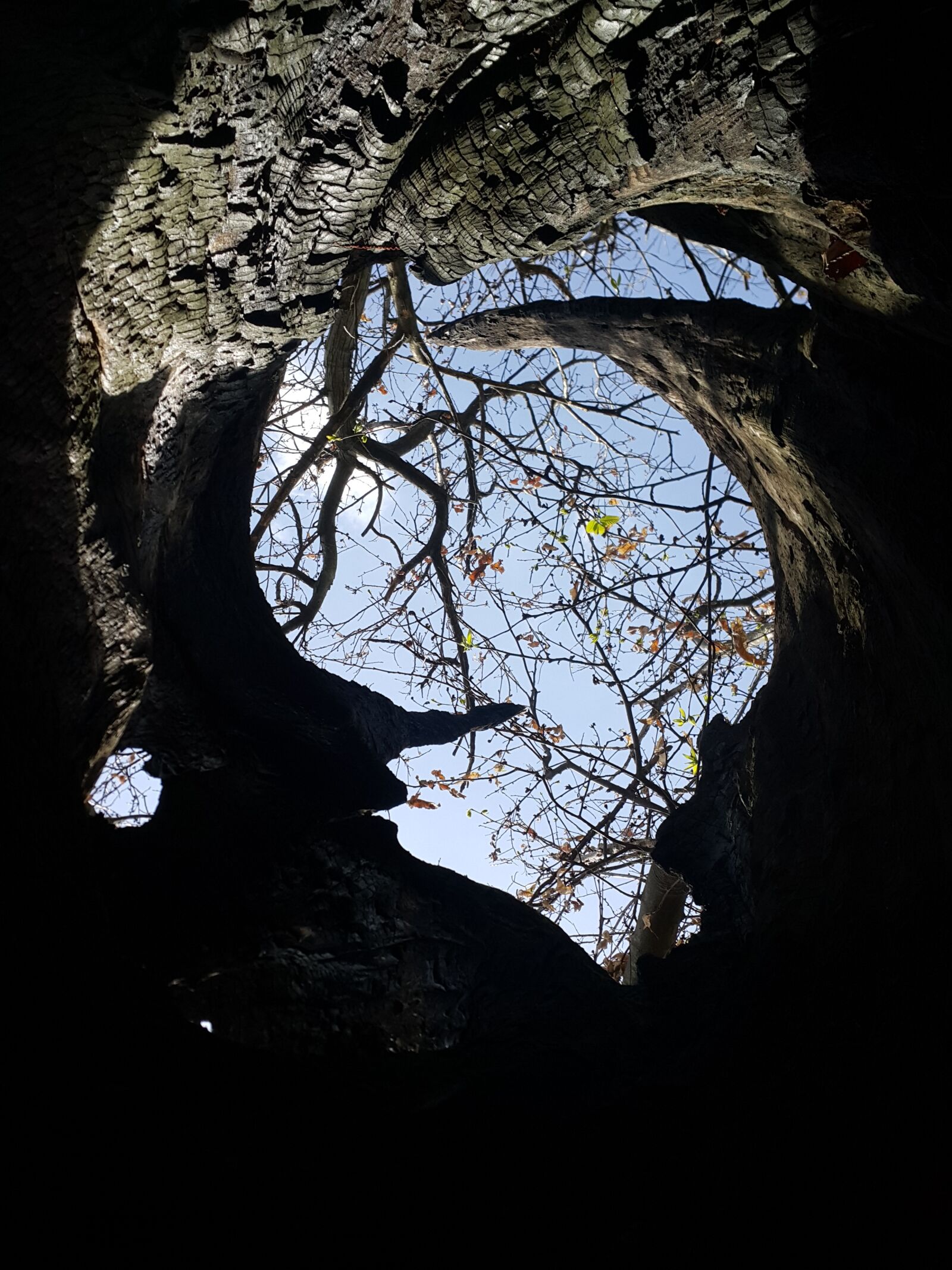Samsung Galaxy Note4 sample photo. Black, blue, sky, inside photography