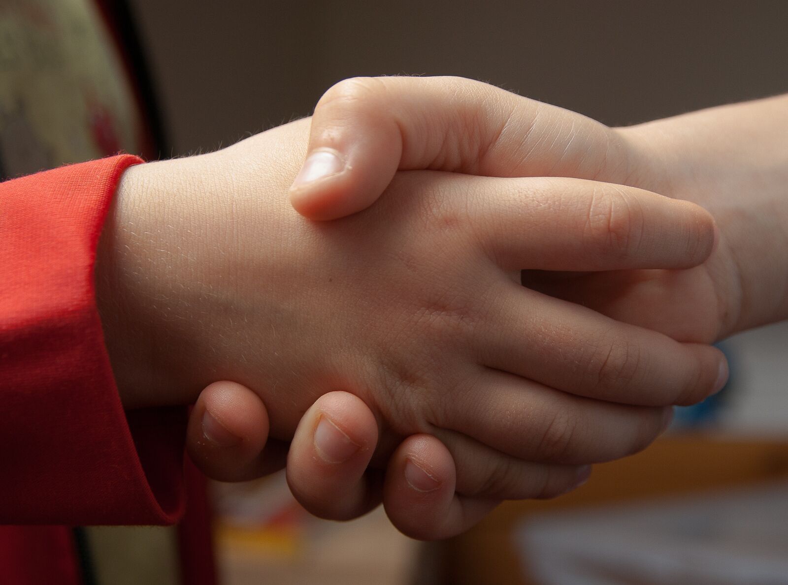 Pentax K10D sample photo. Handshake, hi, friendship photography