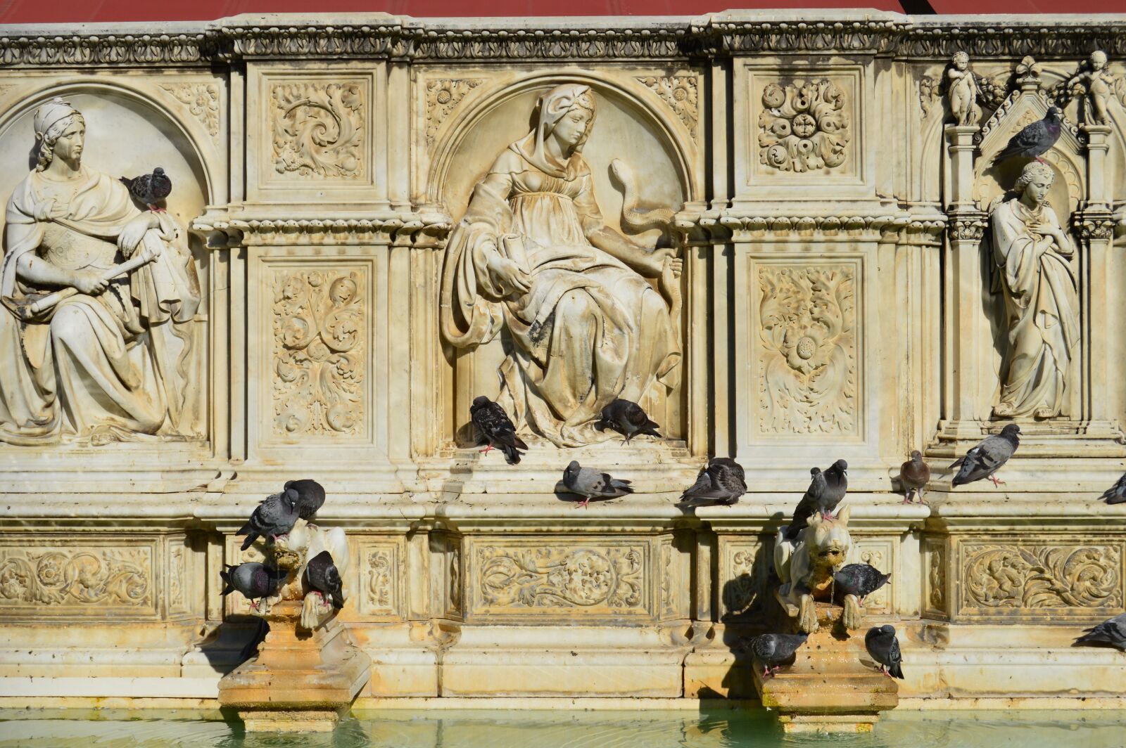 Nikon D3200 sample photo. Pigeons, history, fountain photography