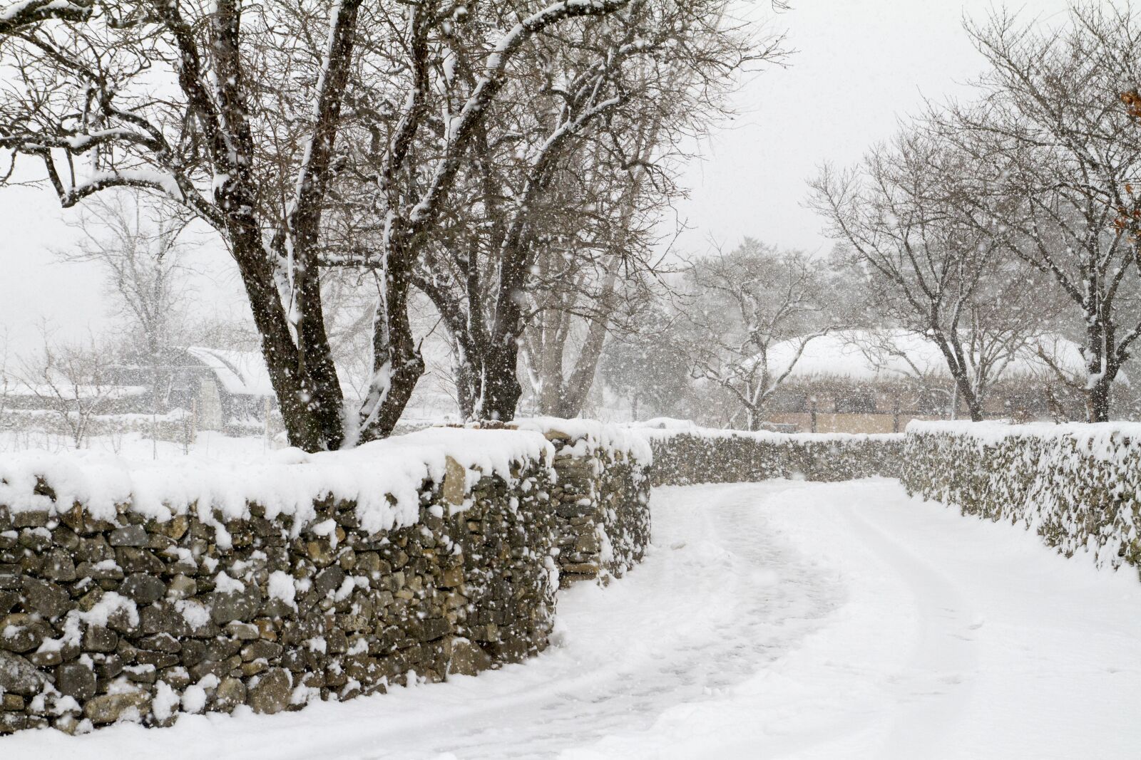 Canon EOS 7D sample photo. Heavy snow, winter, snowfall photography