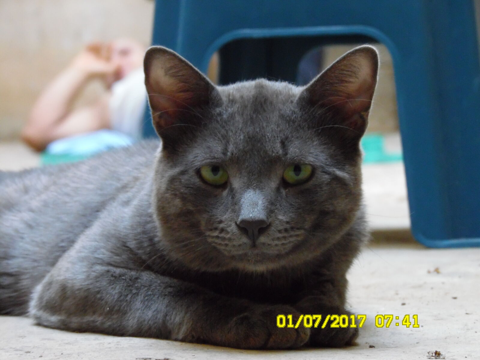Samsung WB1100F/WB1101F/WB1102F sample photo