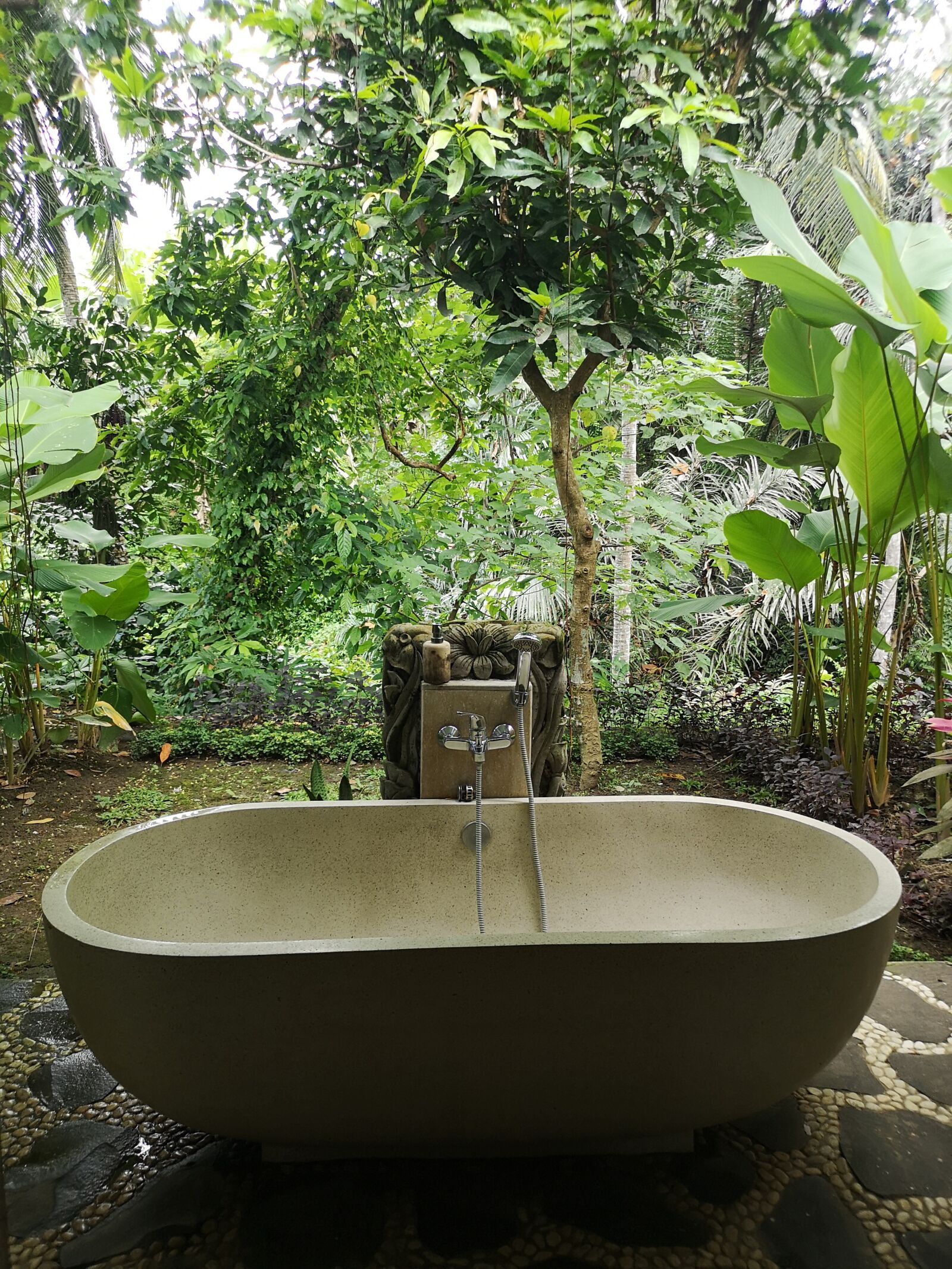 HUAWEI CLT-L09 sample photo. Swim, spa, jungle photography