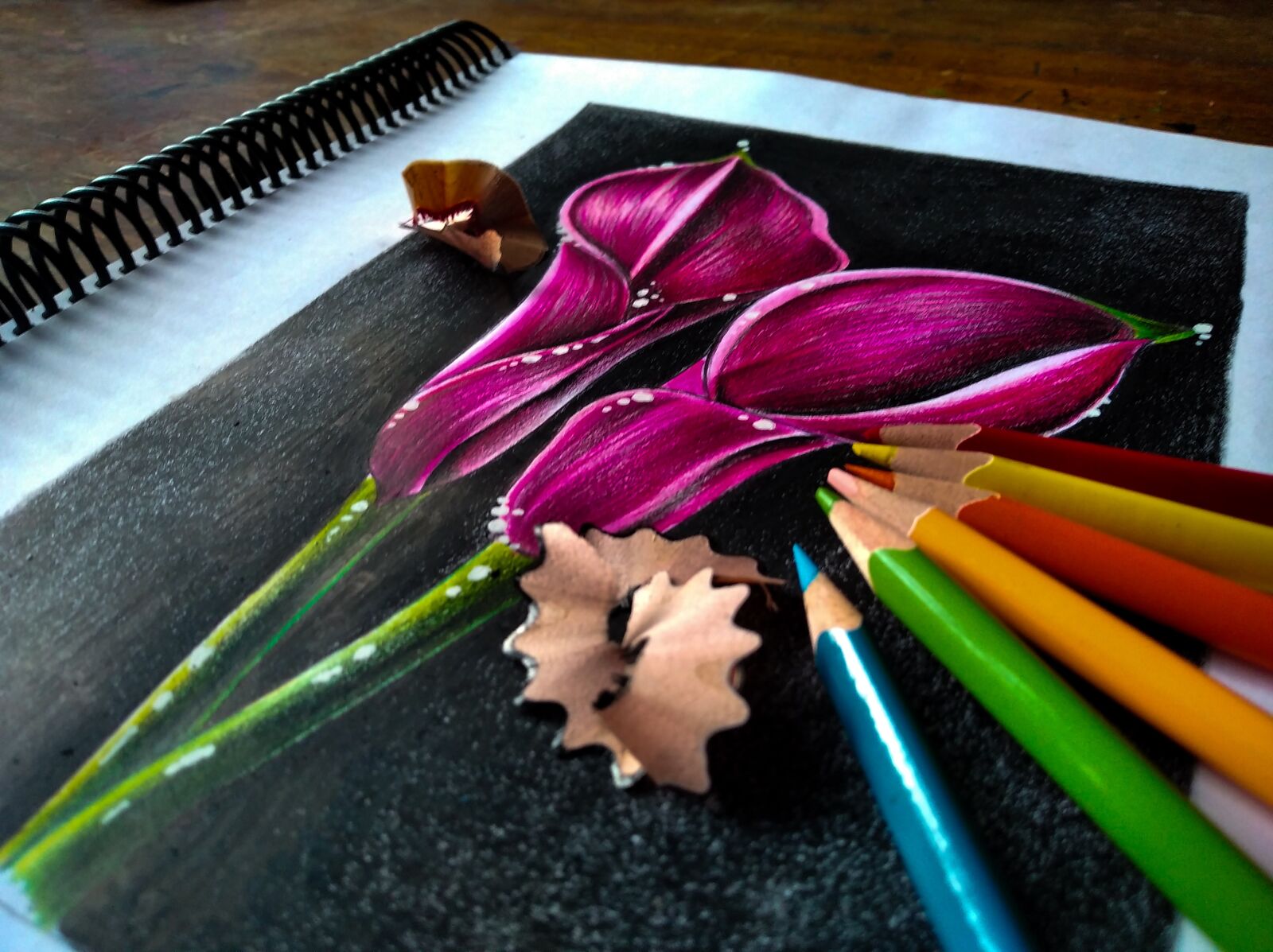 Xiaomi Redmi 7A sample photo. Art, illustration, flowers photography