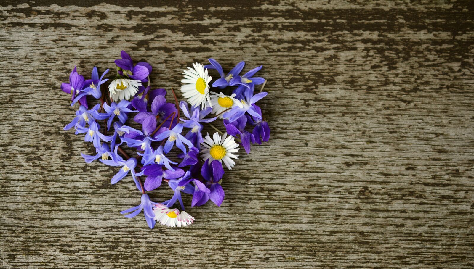 Nikon D5200 sample photo. Flower heart, spring blossoms photography
