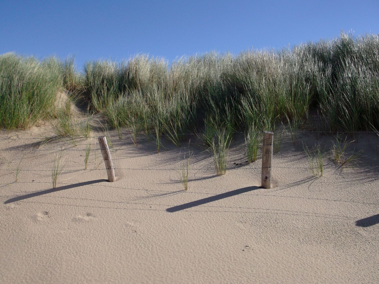 Fujifilm FinePix AX300 sample photo. Beach, dunes, summer photography