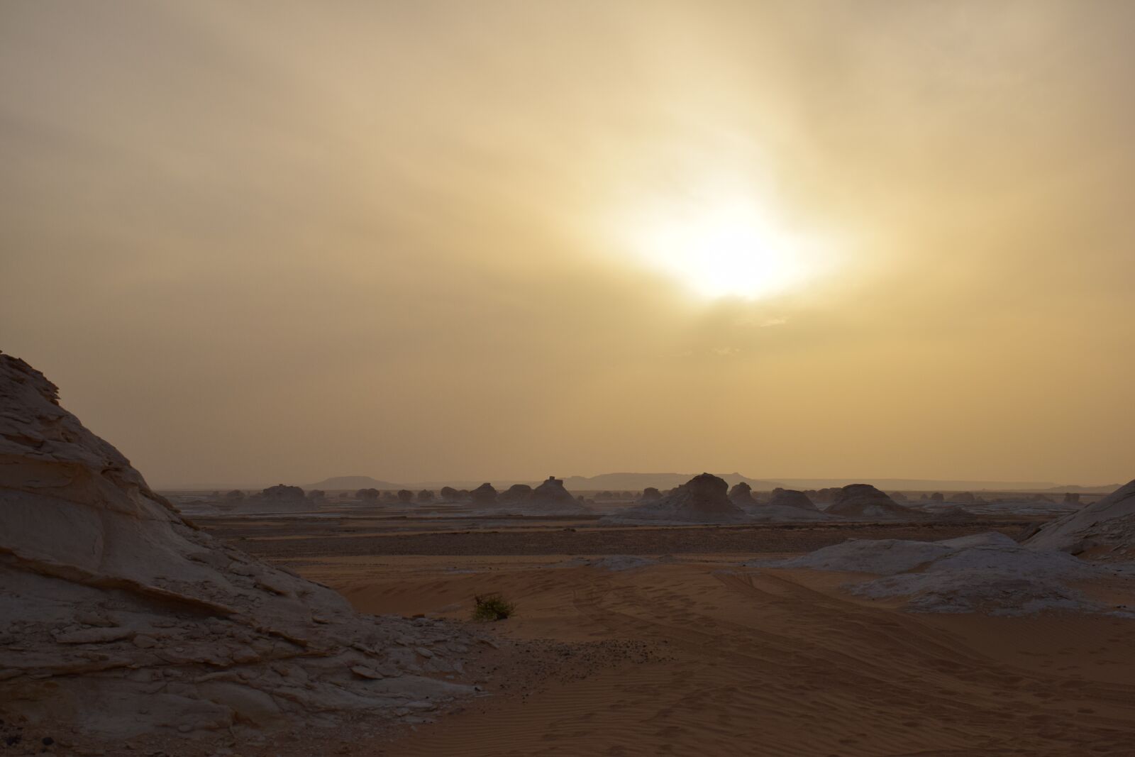 Nikon D5300 sample photo. Oases, desert, egypt photography