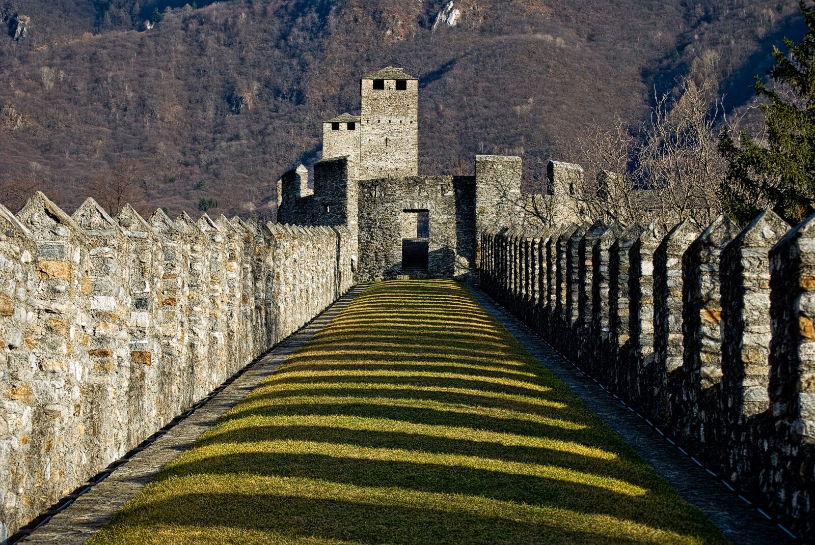 Nikon D60 sample photo. Castle, manor, architecture photography
