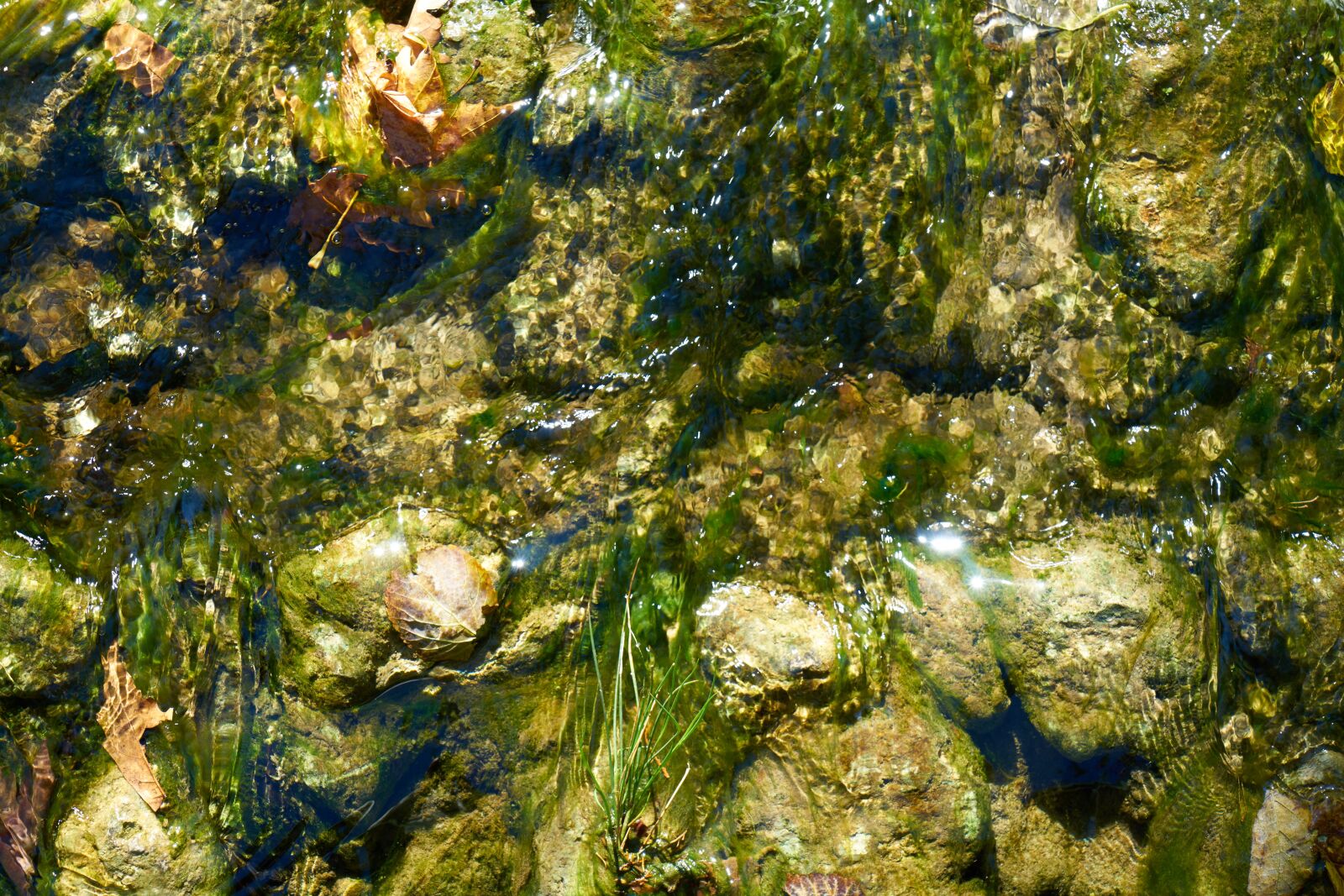 Sony a7R II sample photo. Water, kennedy, river photography
