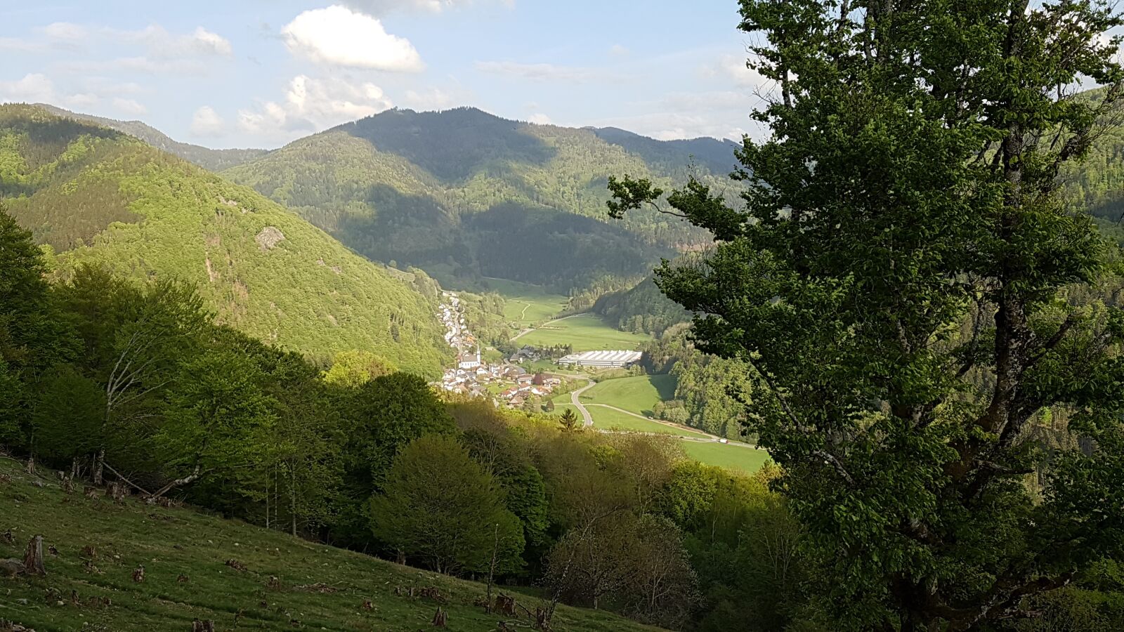 Samsung Galaxy S7 sample photo. Black forest, nature, landscape photography