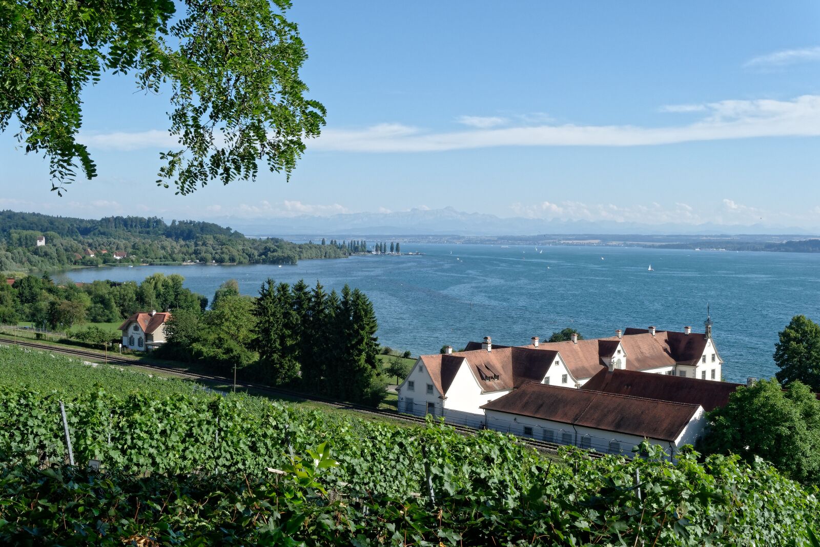 Sony Cyber-shot DSC-RX100 sample photo. Lake constance, lake, water photography