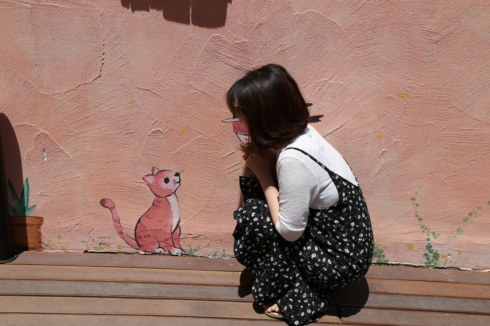 Canon EOS 6D + Canon EF 24-105mm F4L IS USM sample photo. Cat, paju, provence photography