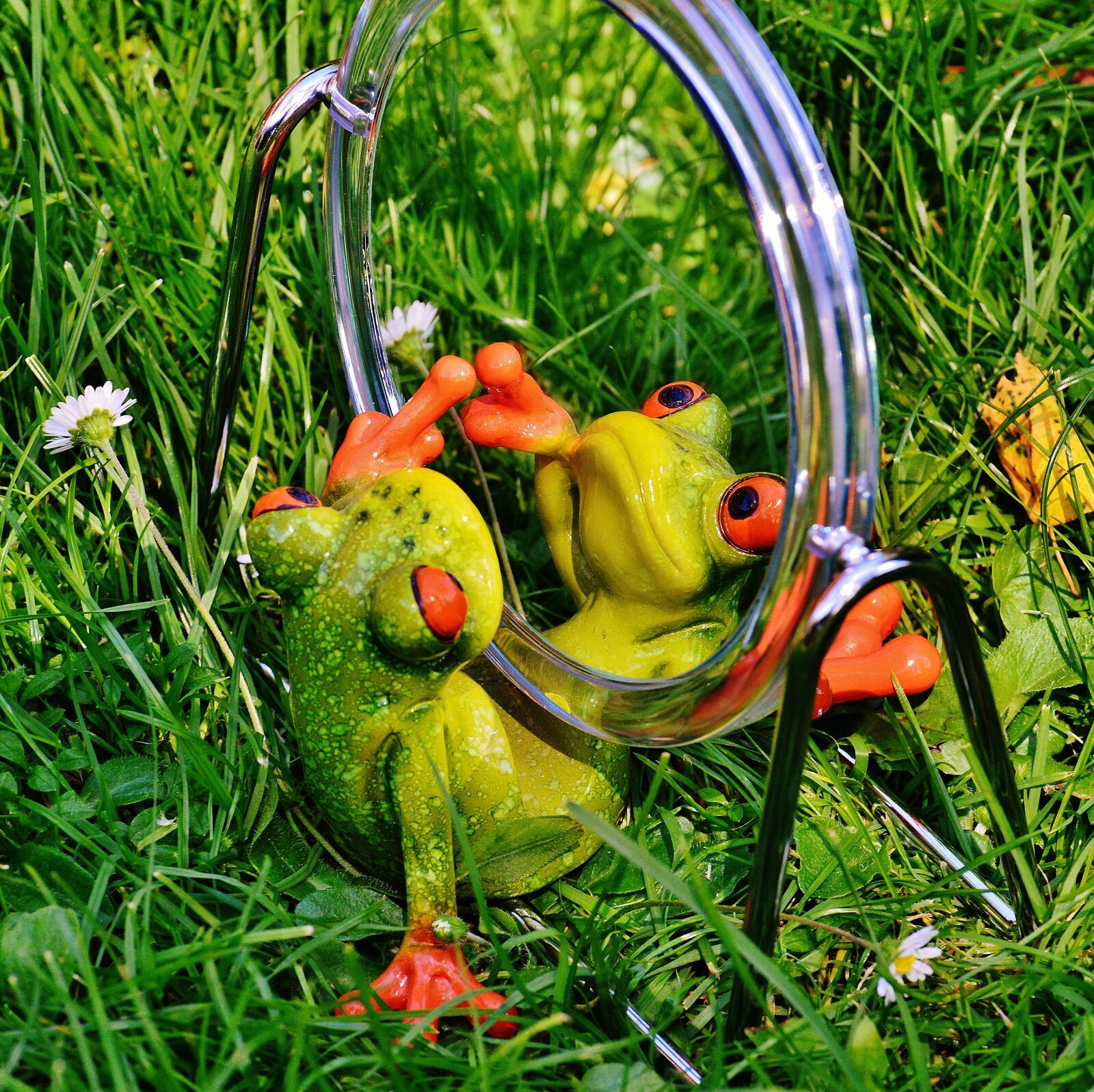 Nikon D3200 sample photo. Frog, mirror, mirror image photography