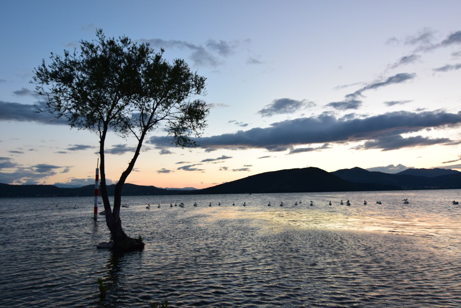 Nikon D5300 sample photo. Lake, water, nature photography