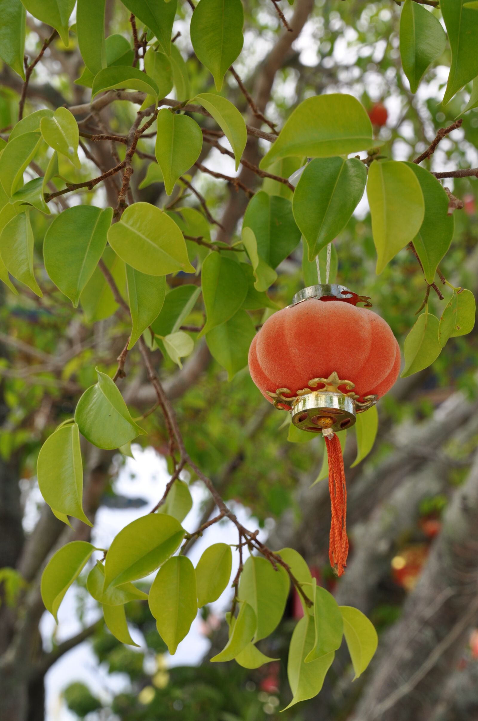 Nikon D90 sample photo. Chinese, lamp, culture photography