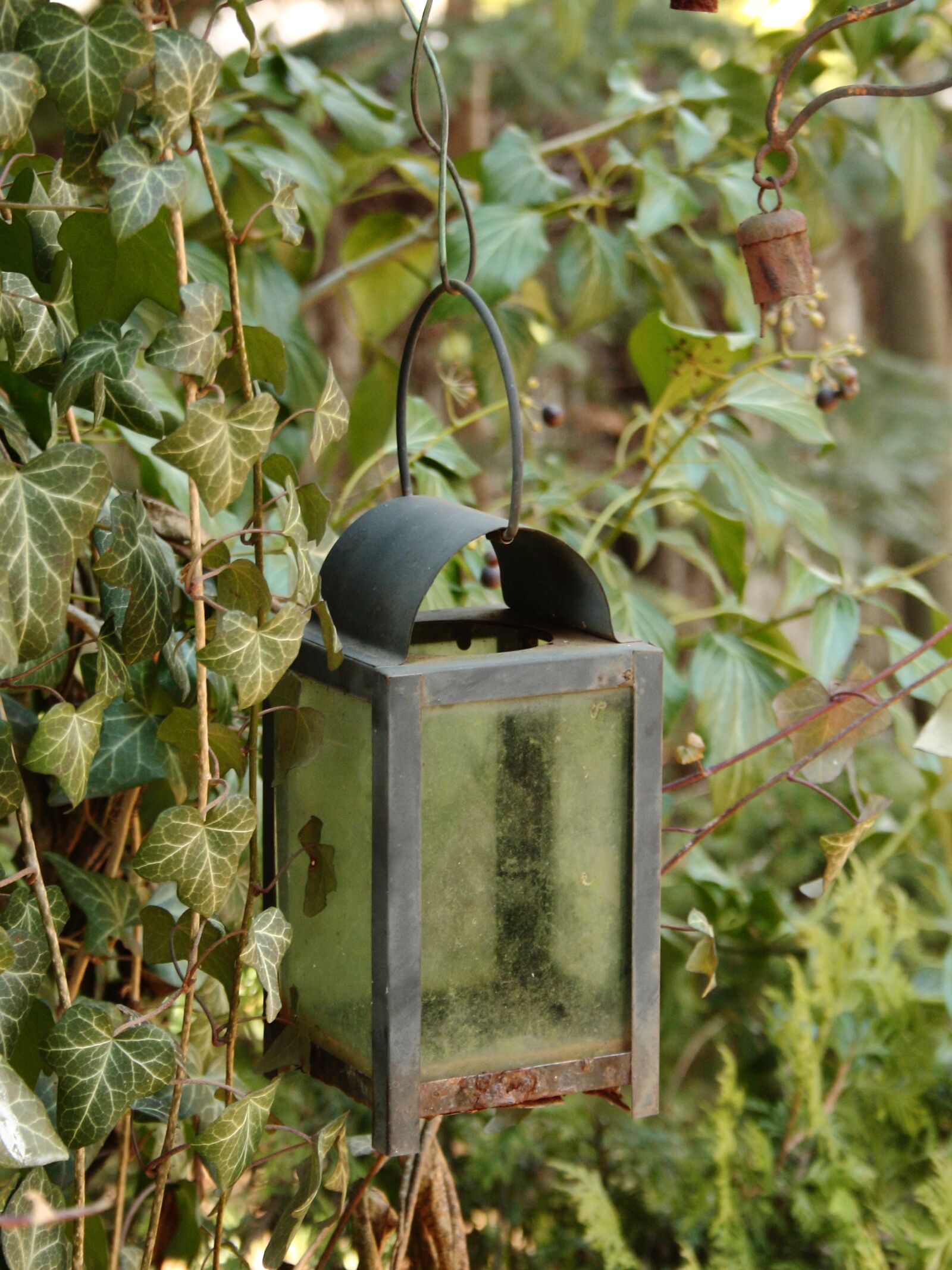 Canon EOS 1000D (EOS Digital Rebel XS / EOS Kiss F) sample photo. Garden, lamp, lantern photography