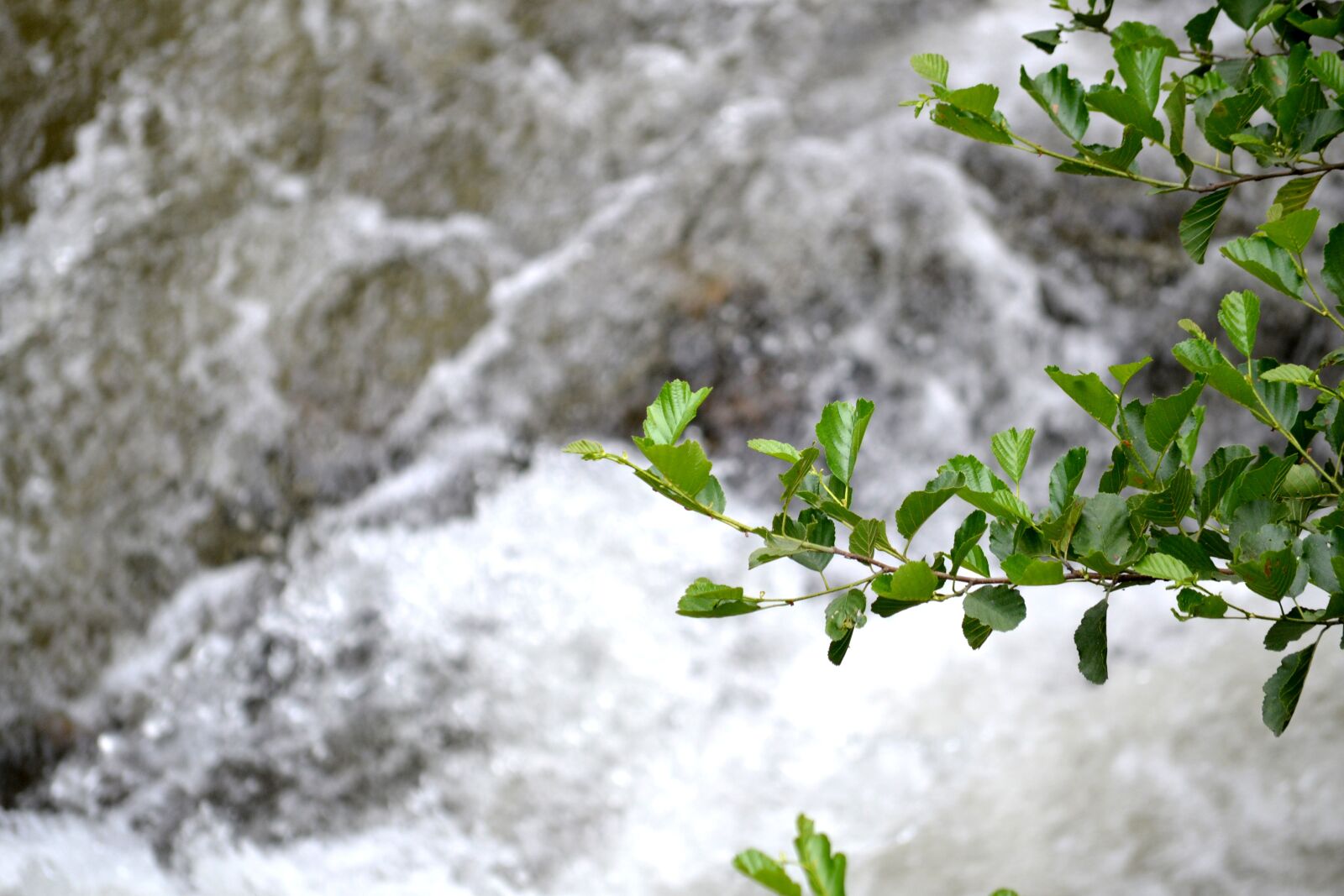 Nikon D3100 sample photo. River, water, nature photography