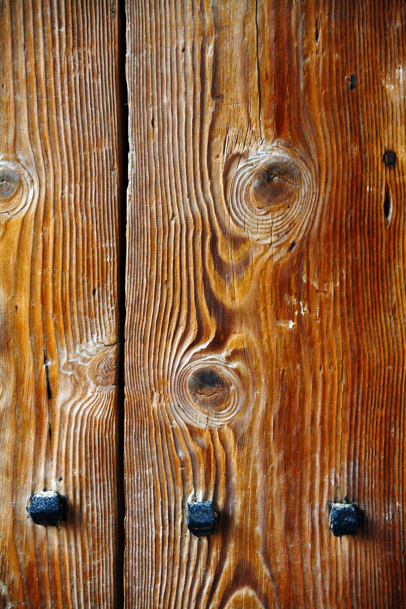 Canon EOS 5D sample photo. Wood, pattern, hardwood photography