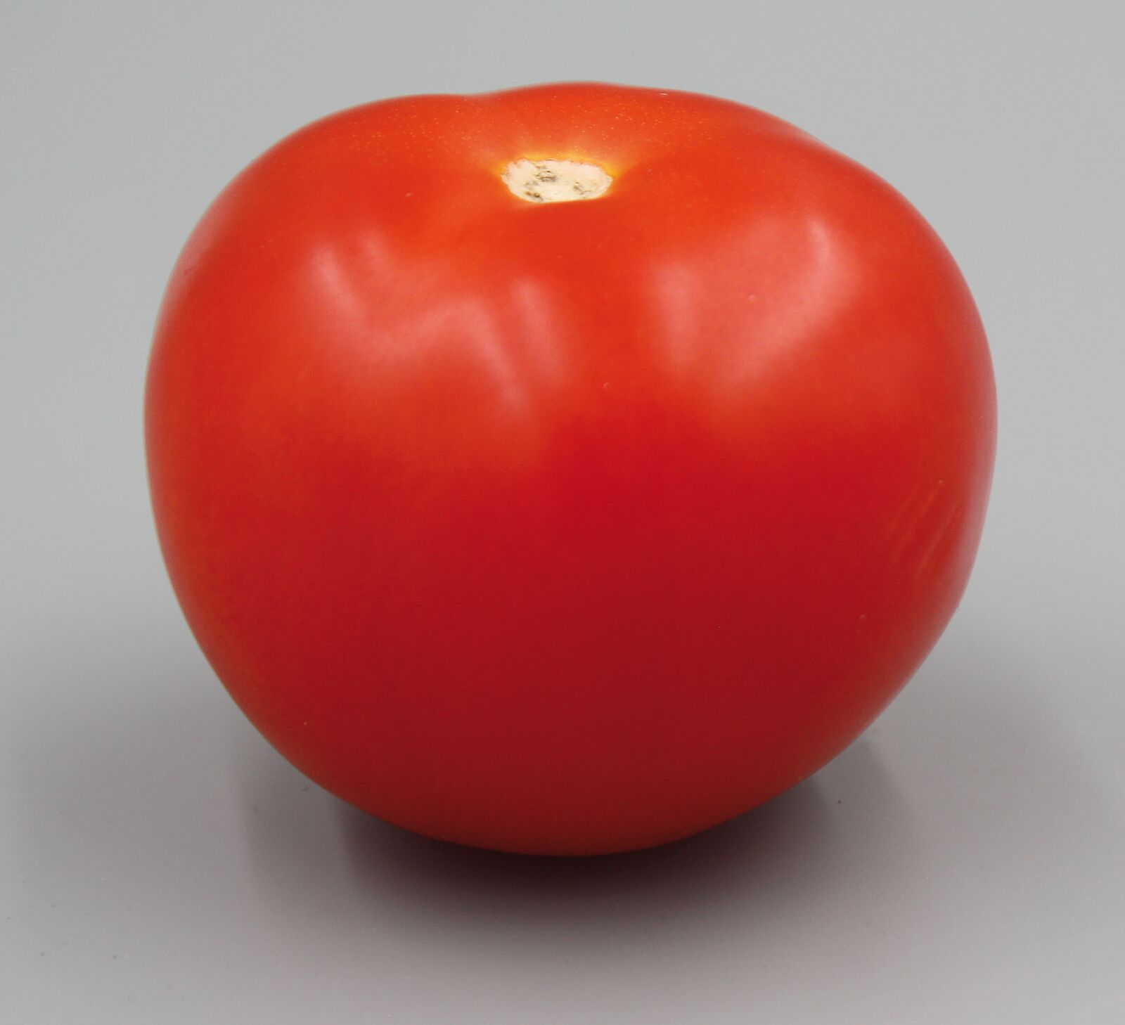 Canon EOS 450D (EOS Rebel XSi / EOS Kiss X2) sample photo. Tomato, vegetable, red photography