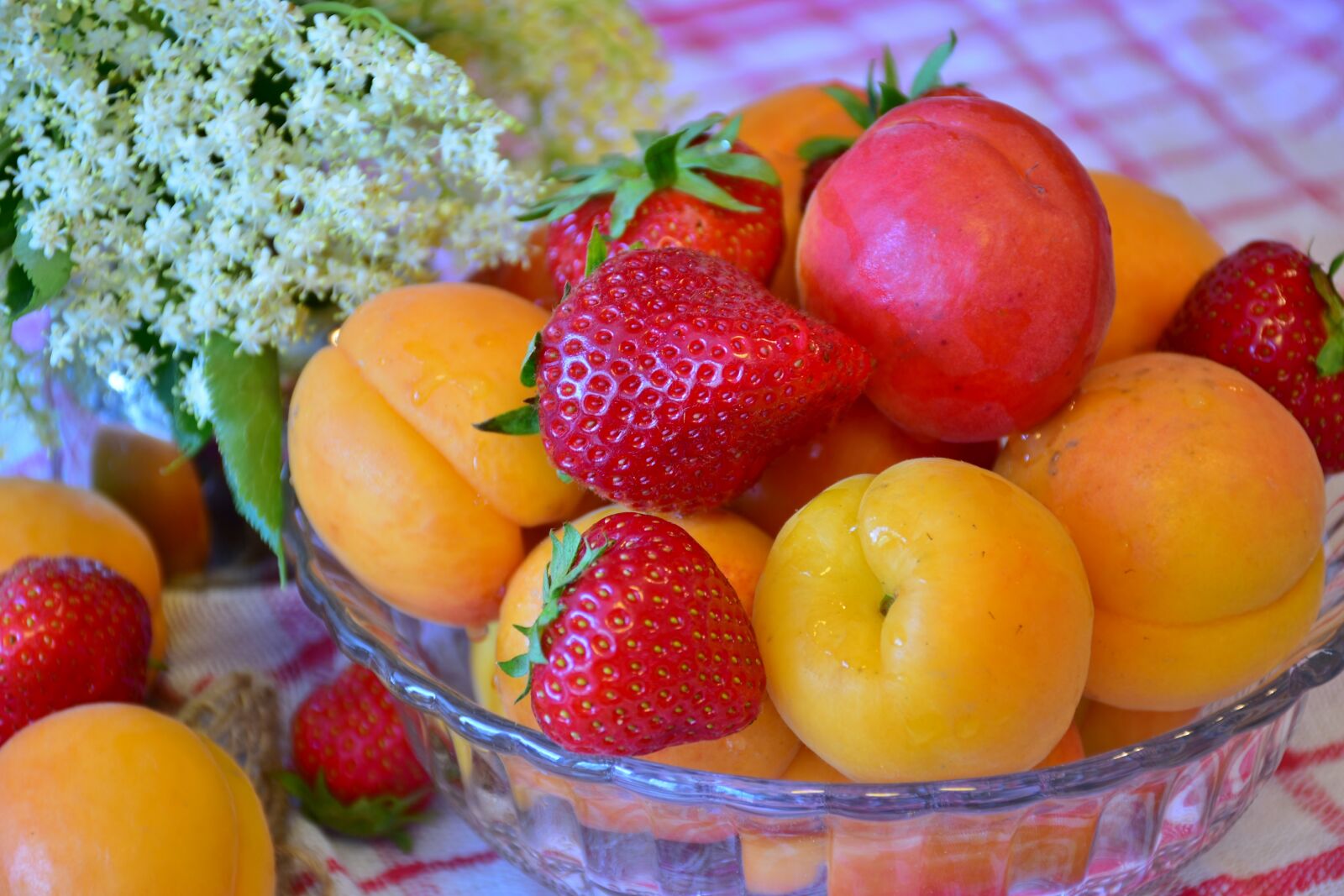 Nikon D7200 sample photo. Fruit, strawberries, apricots photography