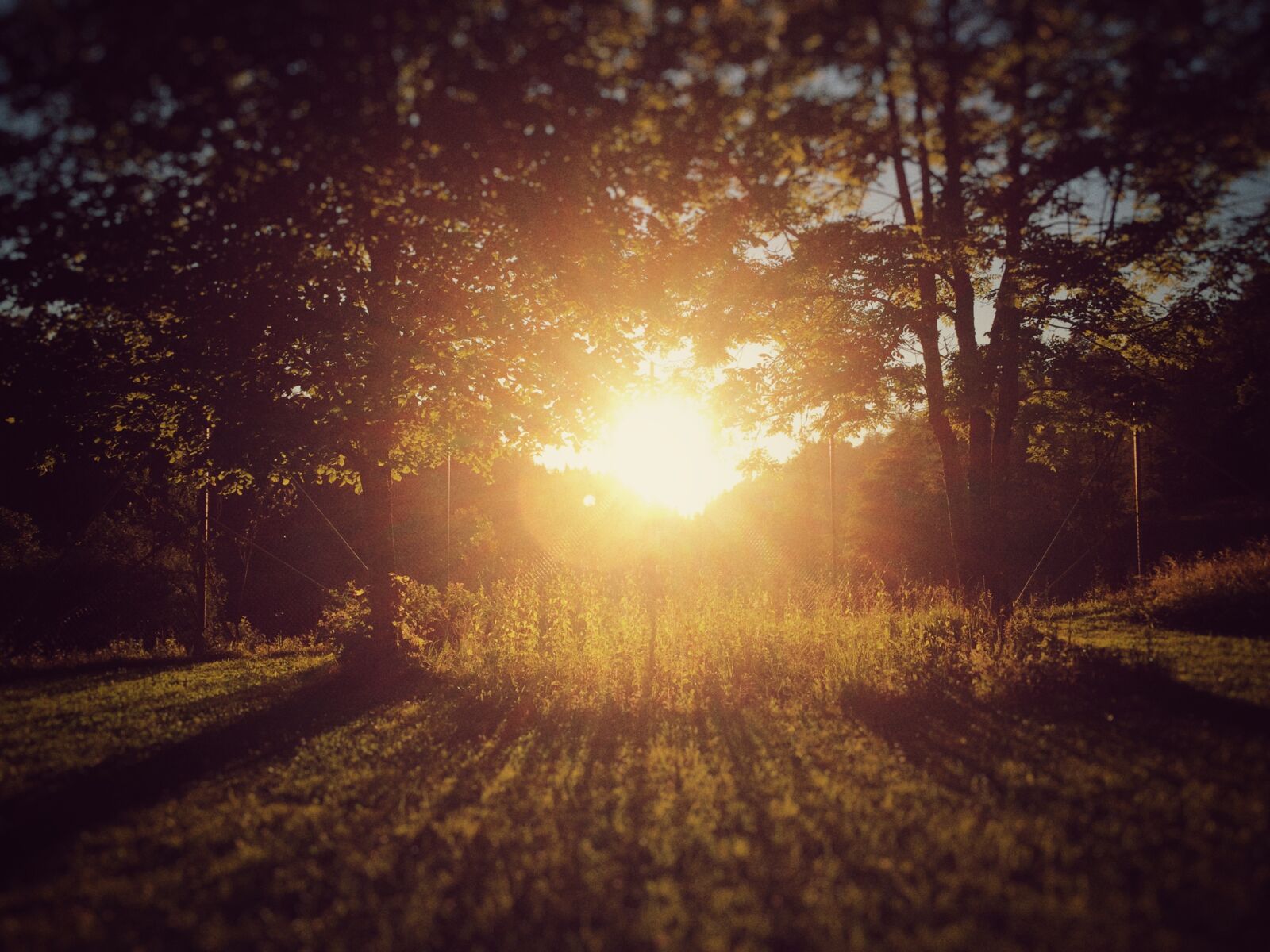 Apple iPhone 6 sample photo. Sunset, switzerland, abendstimmung photography