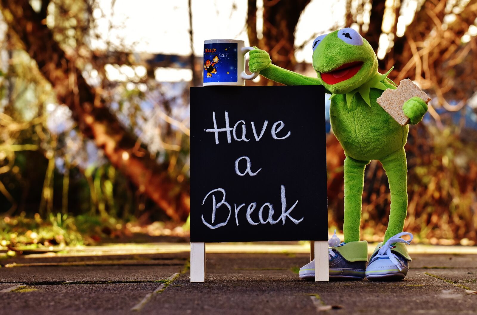 Nikon D7200 sample photo. Kermit, cup, drink coffee photography