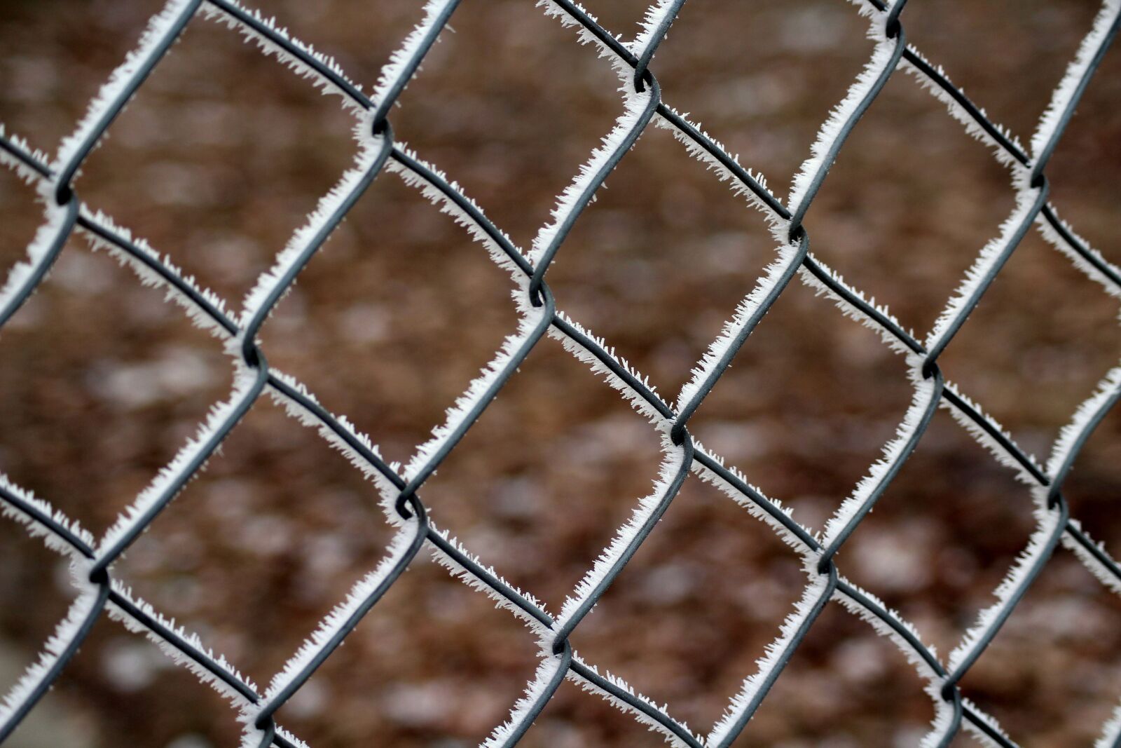 Canon EOS 1200D (EOS Rebel T5 / EOS Kiss X70 / EOS Hi) sample photo. Fencing, winter, frost photography