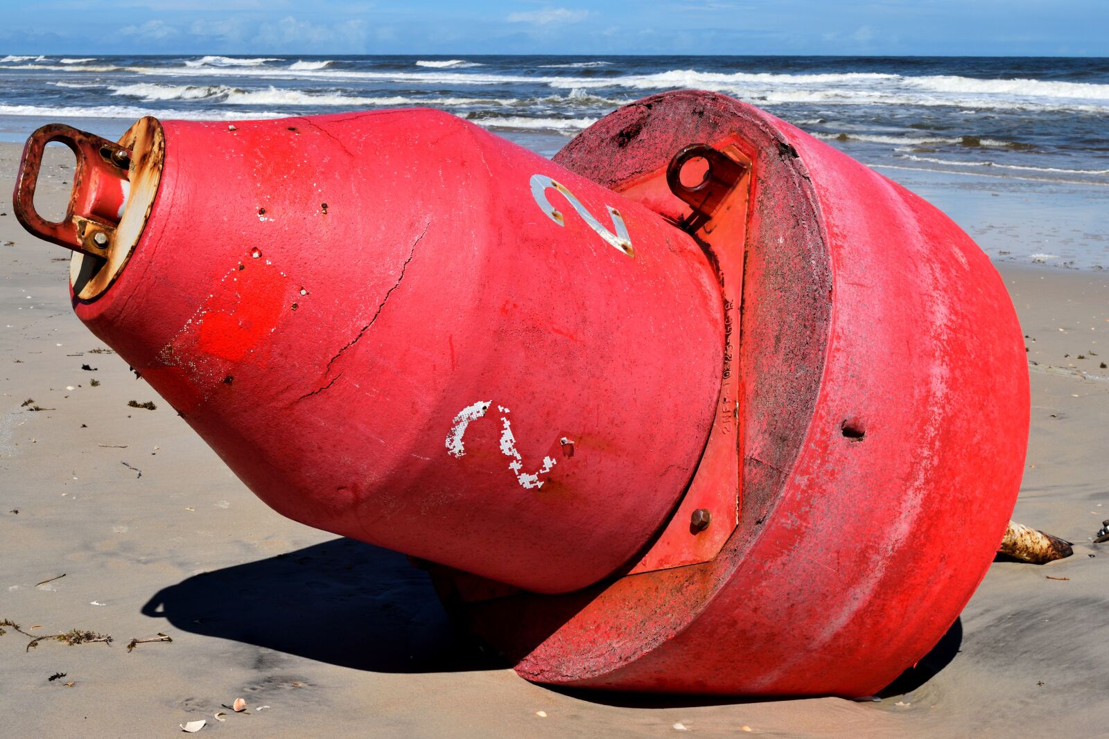 Nikon D3300 sample photo. Buoy, washed up on photography