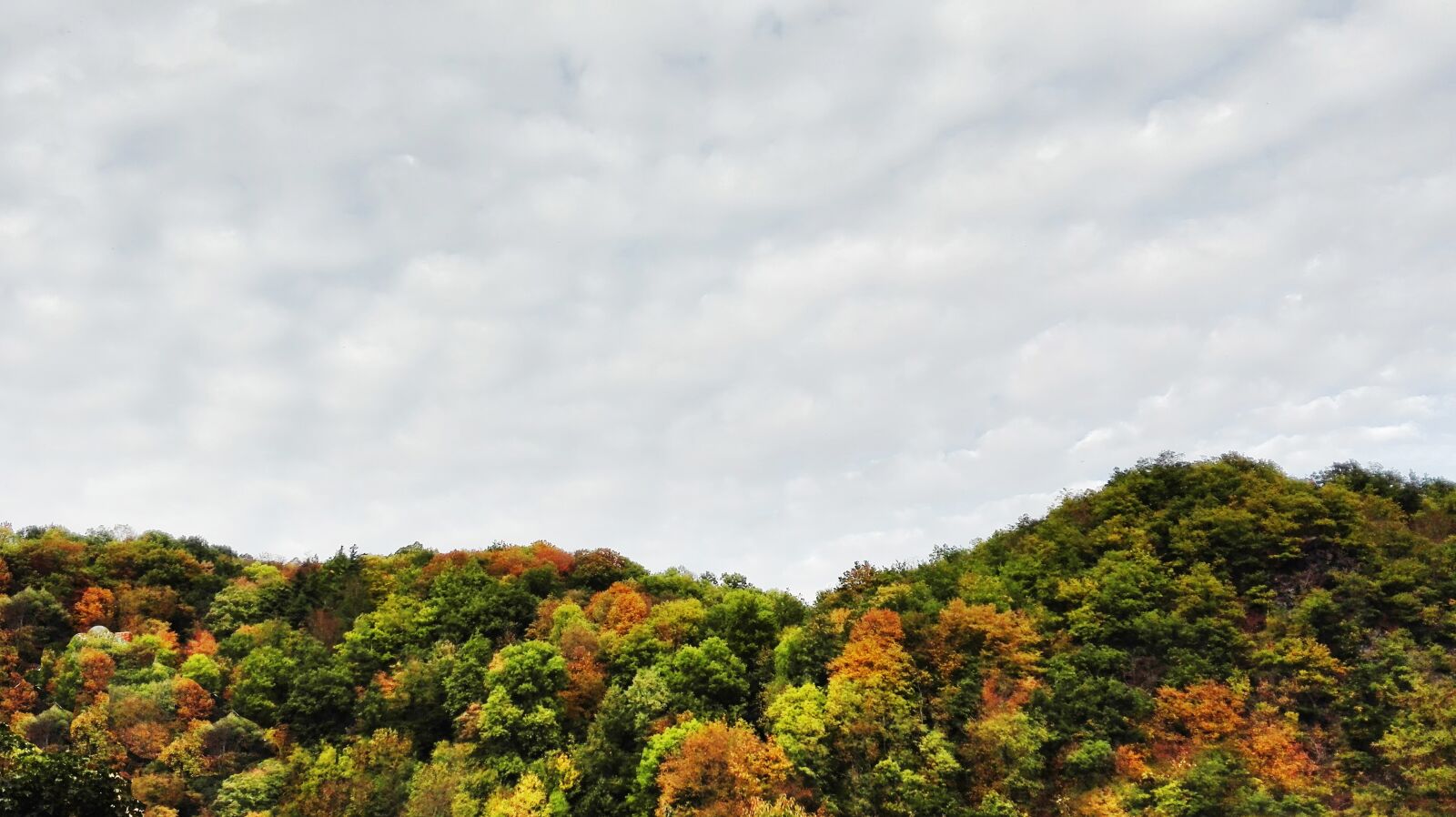 HUAWEI P8 Lite sample photo. Autumn, hill, horizon photography