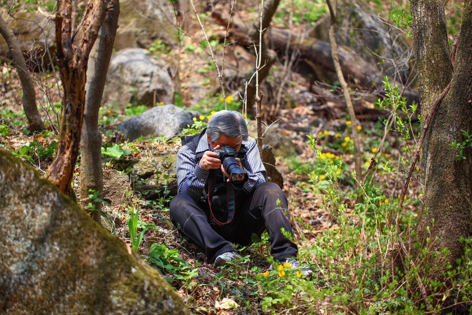Canon EOS 5D Mark II sample photo. Wood, nature, quest photography