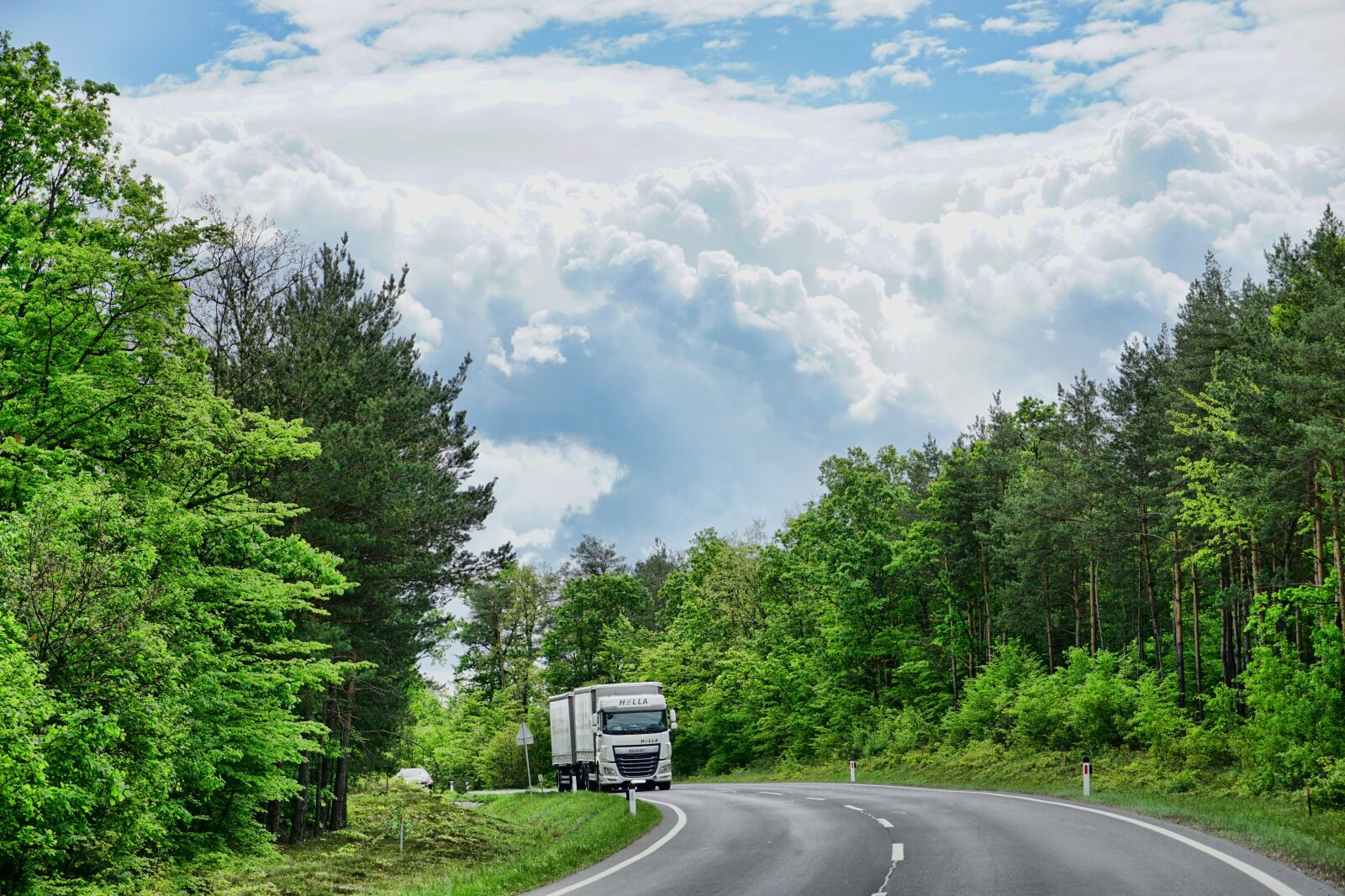 Sony a6000 sample photo. Nature, road, tree photography