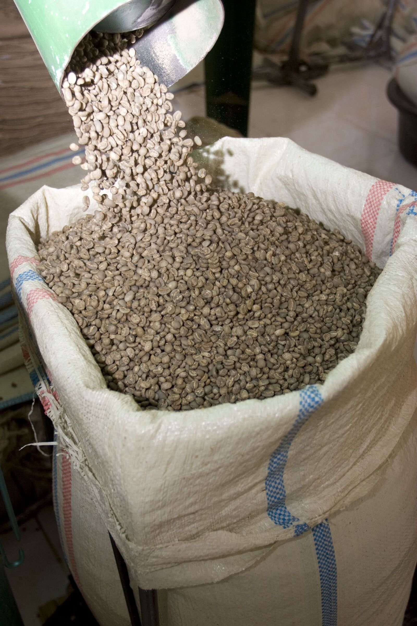 Canon EOS 20D sample photo. Coffee beans, raw, brown photography