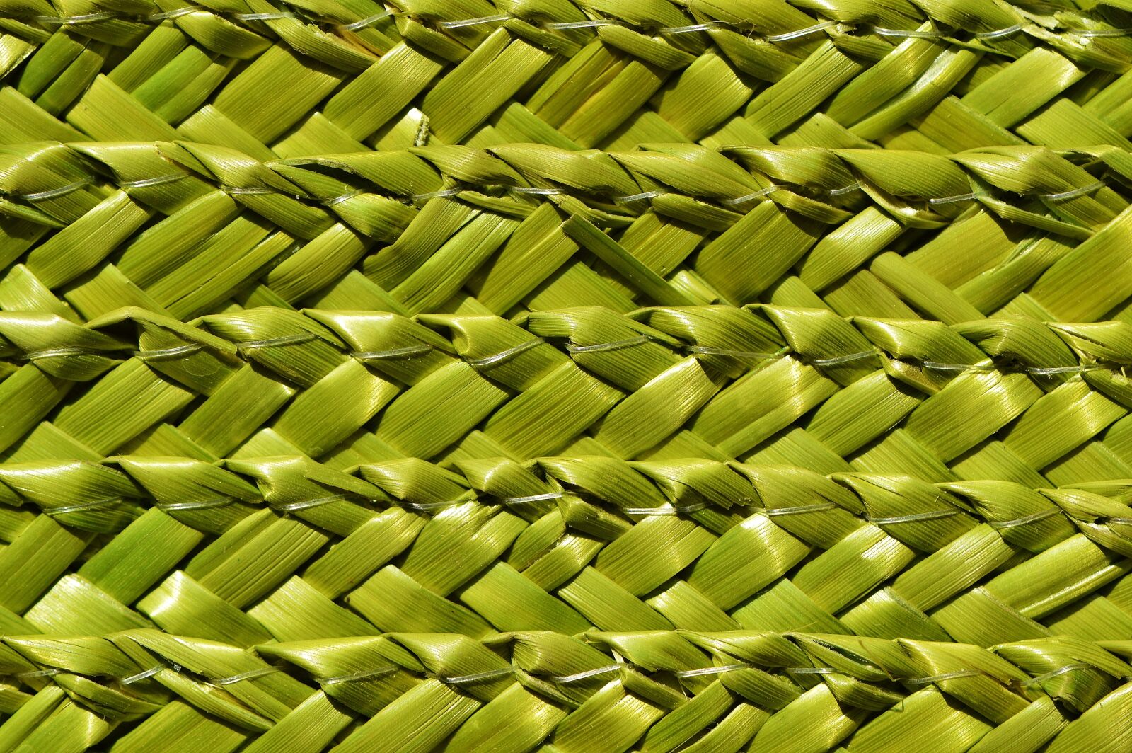 Nikon D3200 sample photo. Basket, woven, braid photography