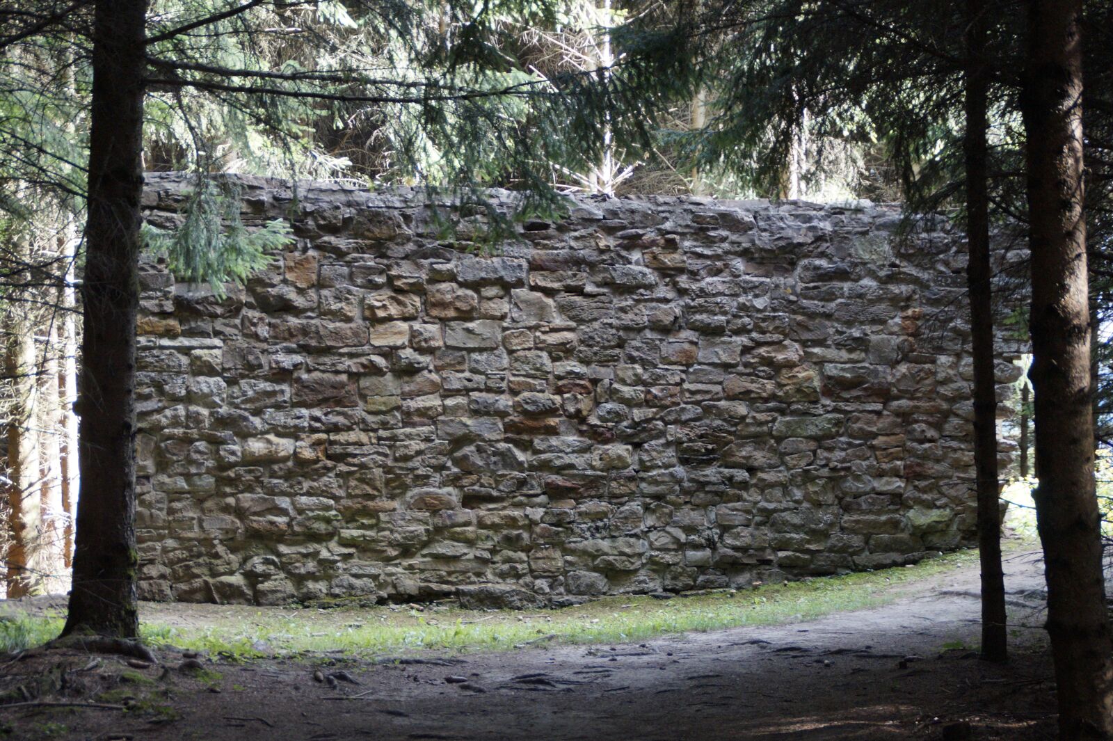 Sony SLT-A58 sample photo. Limes, devil's wall, wall photography