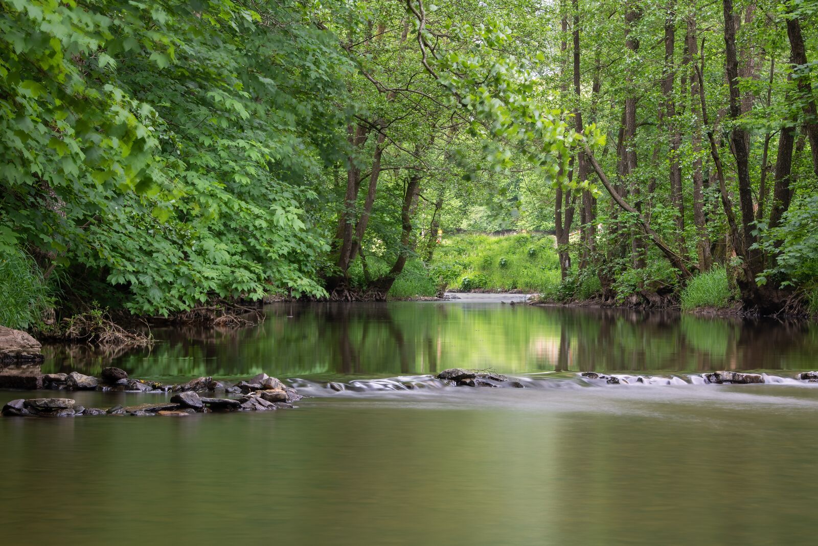 Canon EOS 750D (EOS Rebel T6i / EOS Kiss X8i) sample photo. River, trees, bank photography