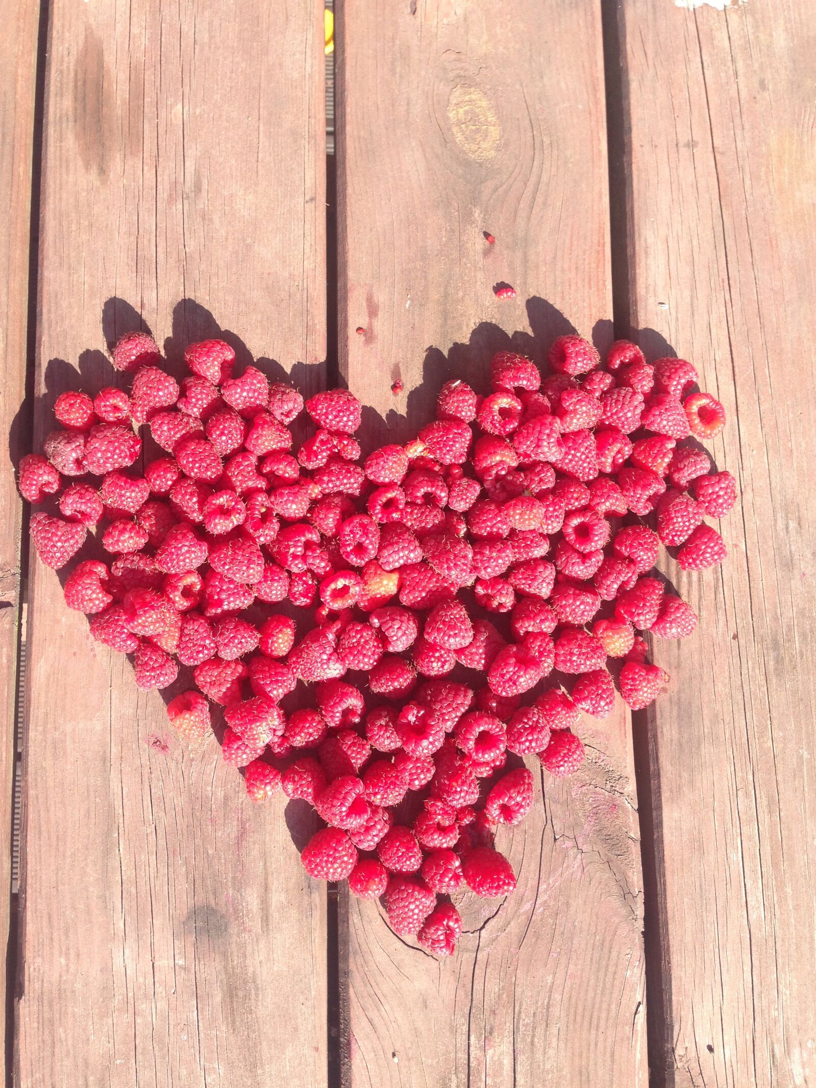 iPhone 5c back camera 4.12mm f/2.4 sample photo. Heart, natural, food, nature photography