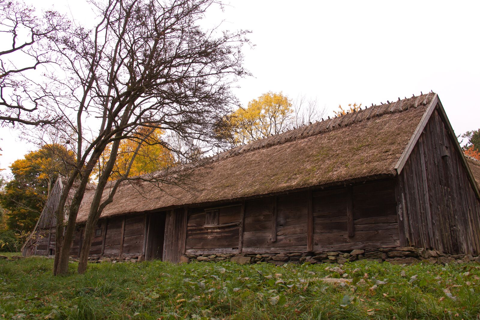 Canon EOS 50D sample photo. The open-air museum, let photography