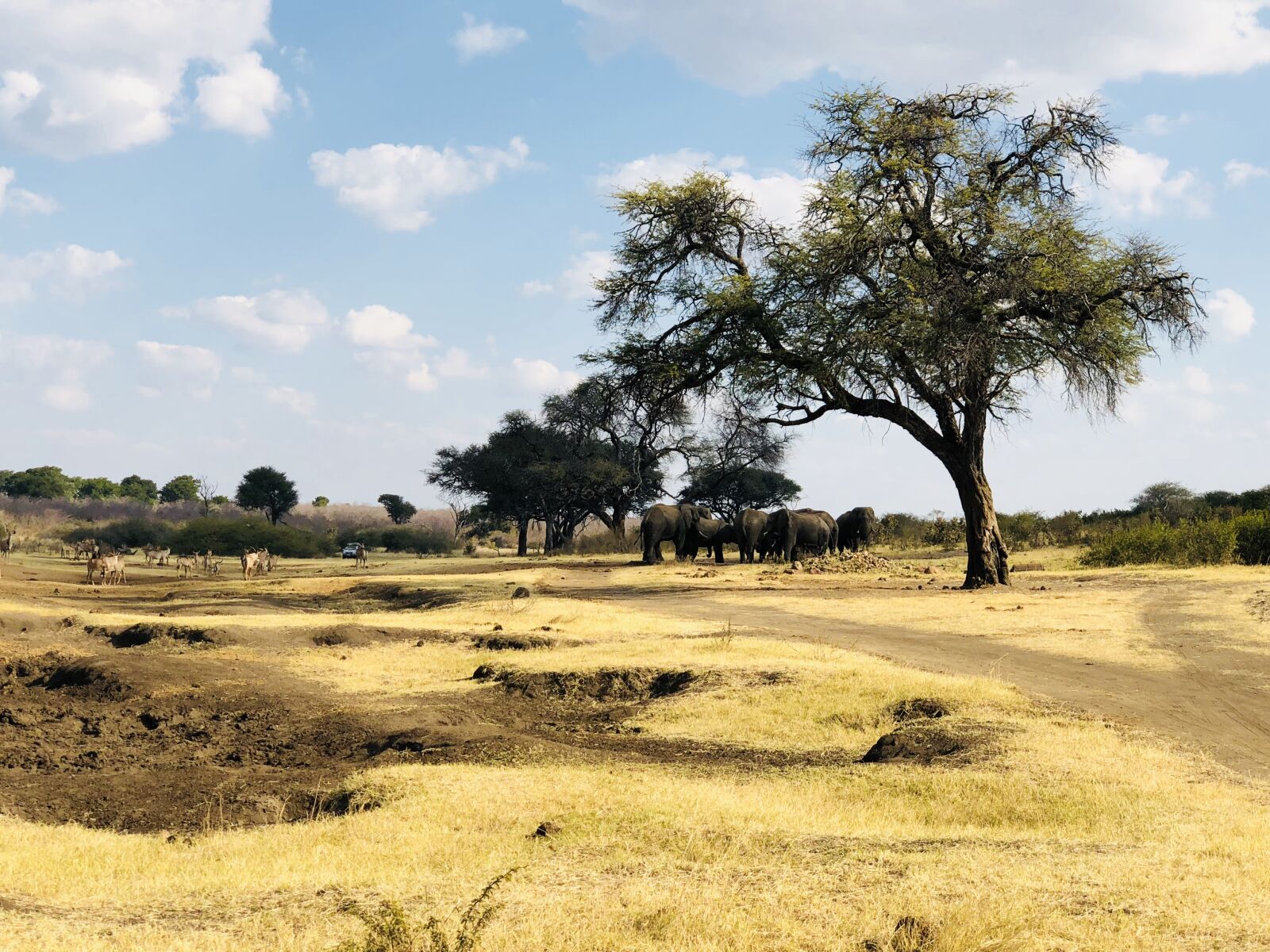 iPhone X back dual camera 6mm f/2.4 sample photo. Safari, namibia, water hole photography