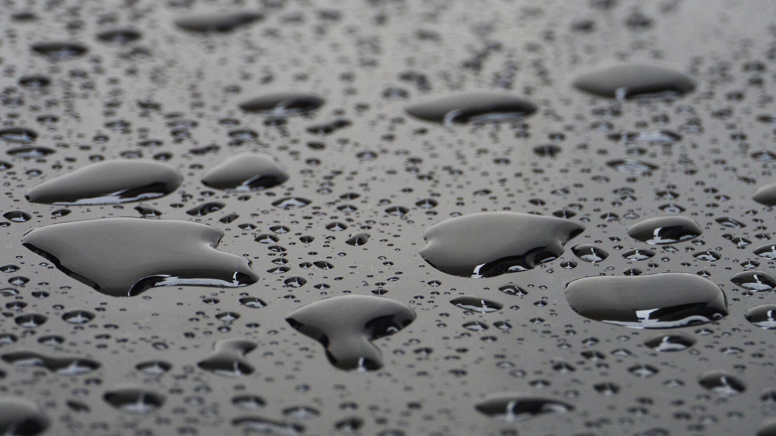 Panasonic Lumix DMC-GH3 sample photo. Non, raindrops, shower photography