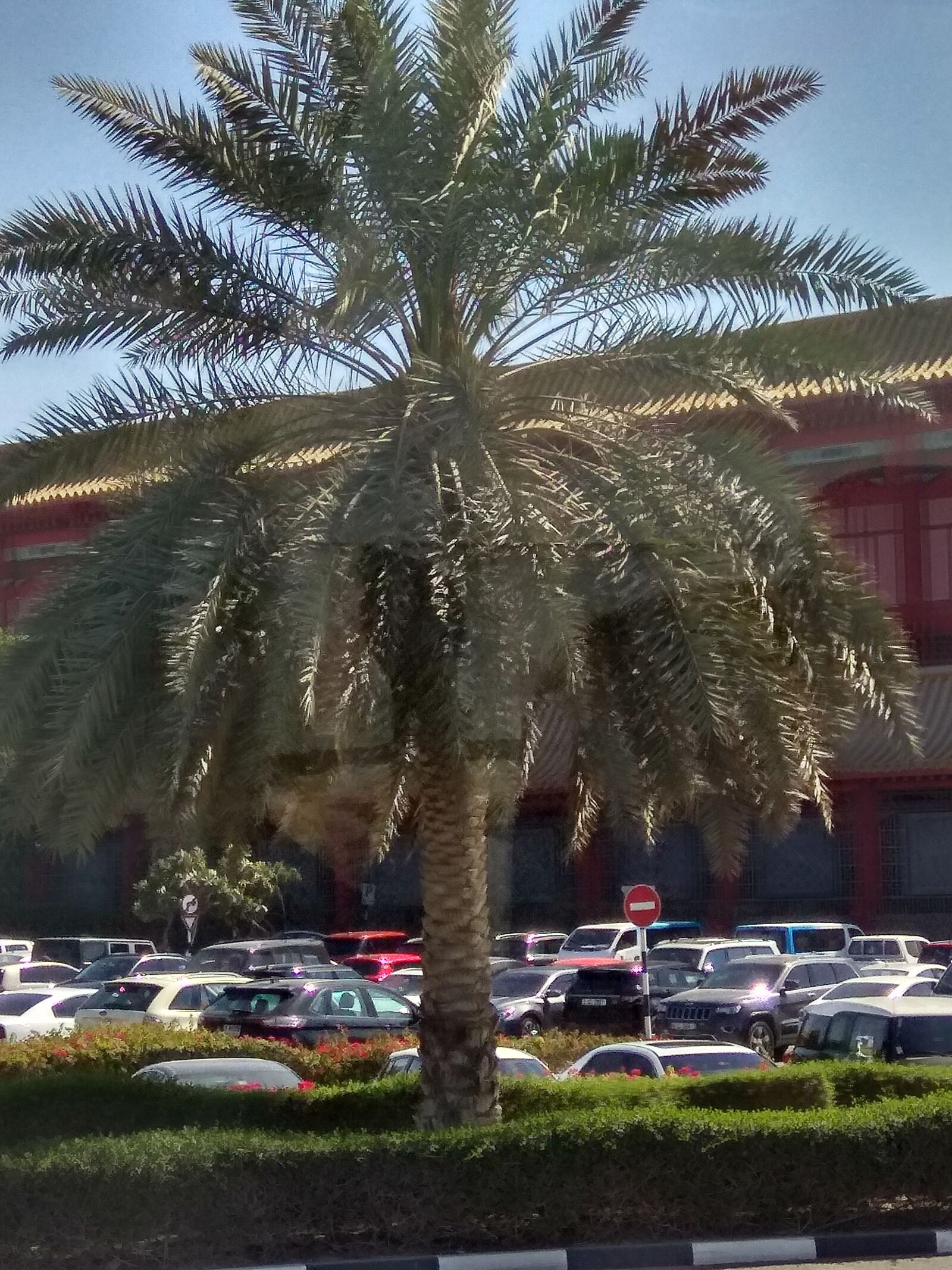 Xiaomi Redmi Note 4 sample photo. Palm, dubai, sea photography