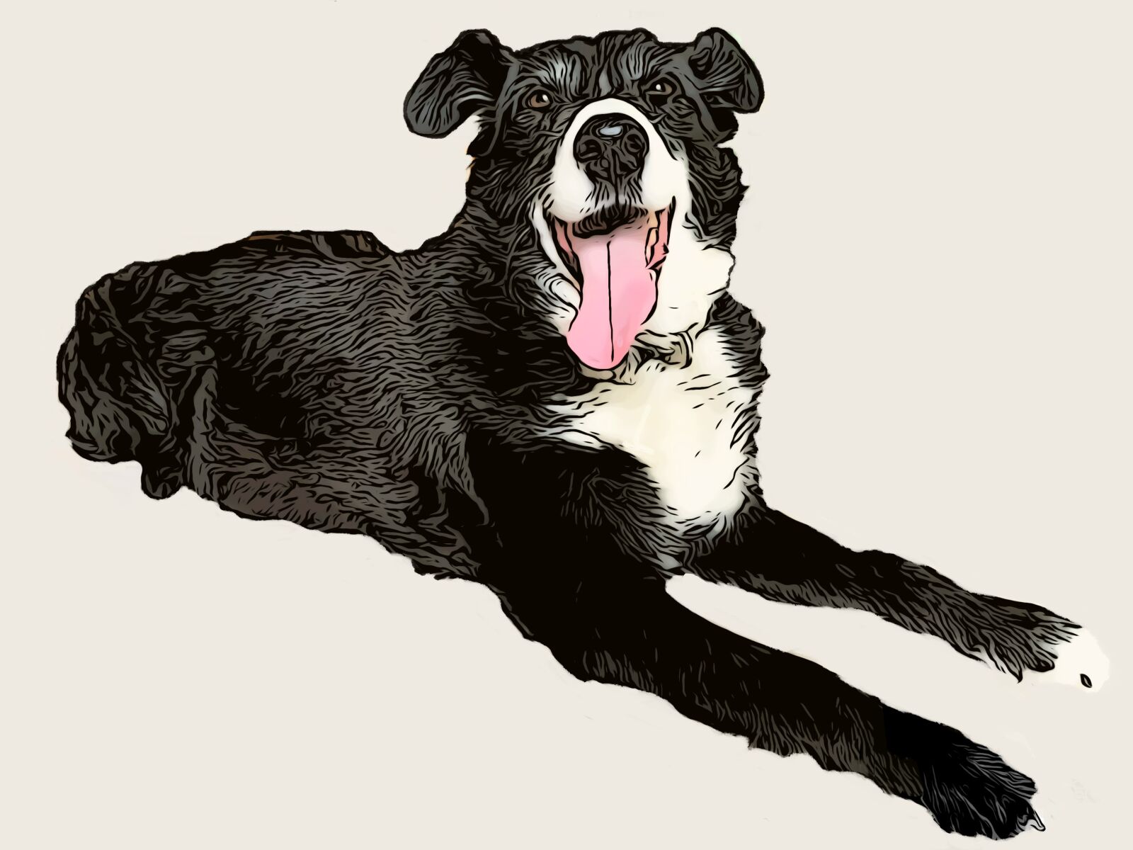 Apple iPhone 6s sample photo. Dog, black dog, collie photography