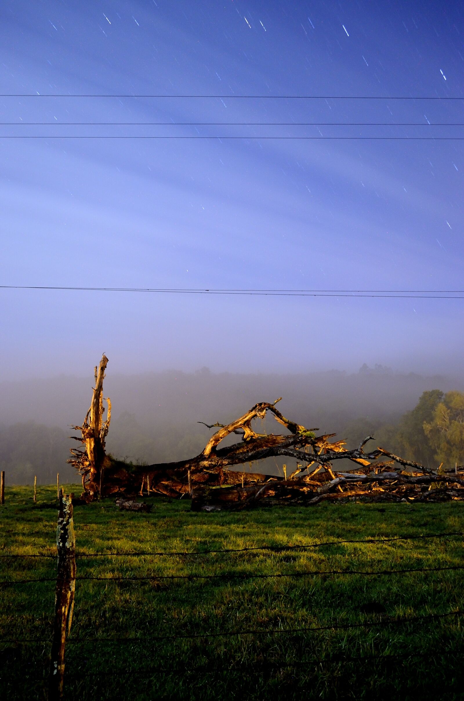 Nikon D5100 sample photo