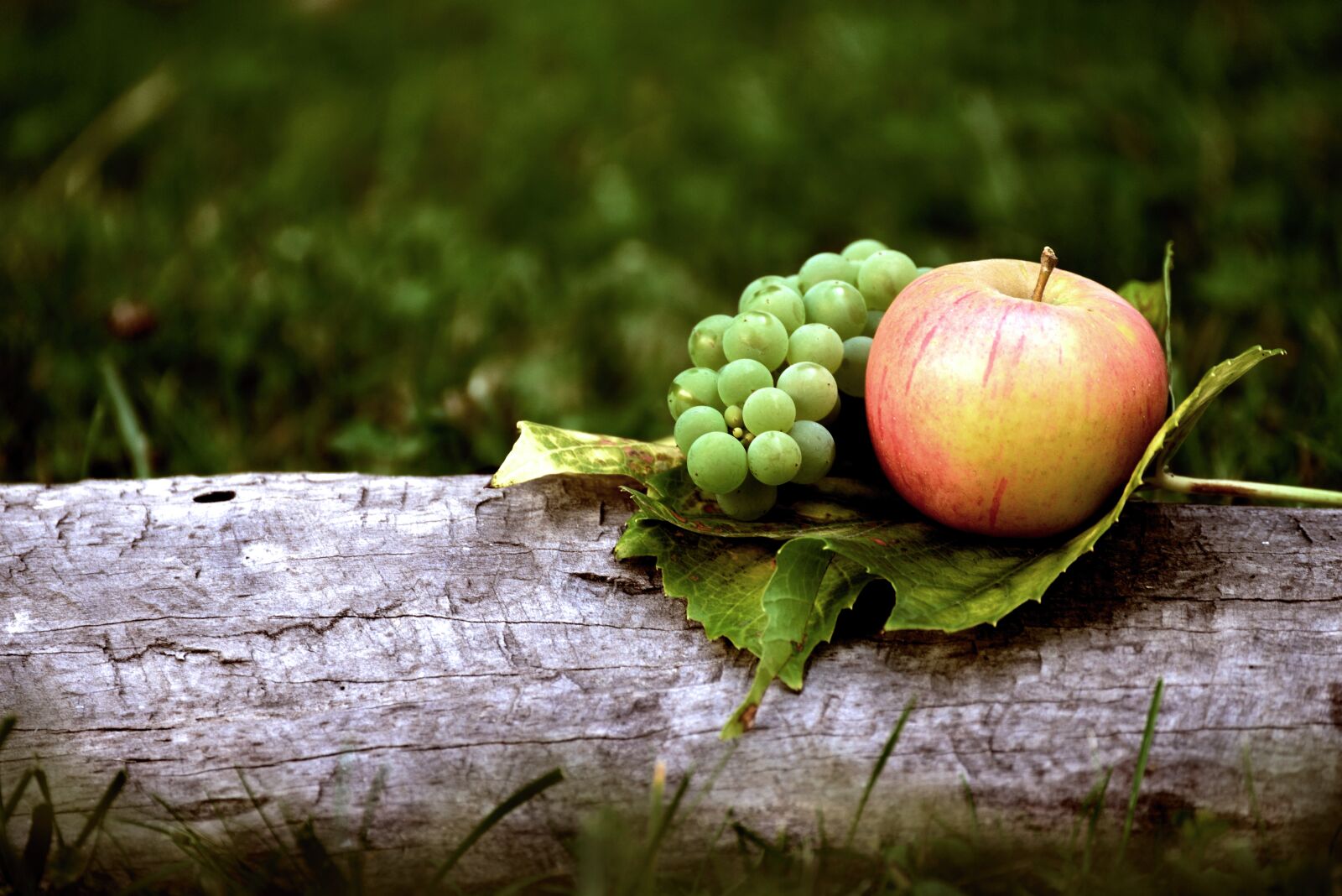 Nikon D610 sample photo. Apple, grapes, autumn photography