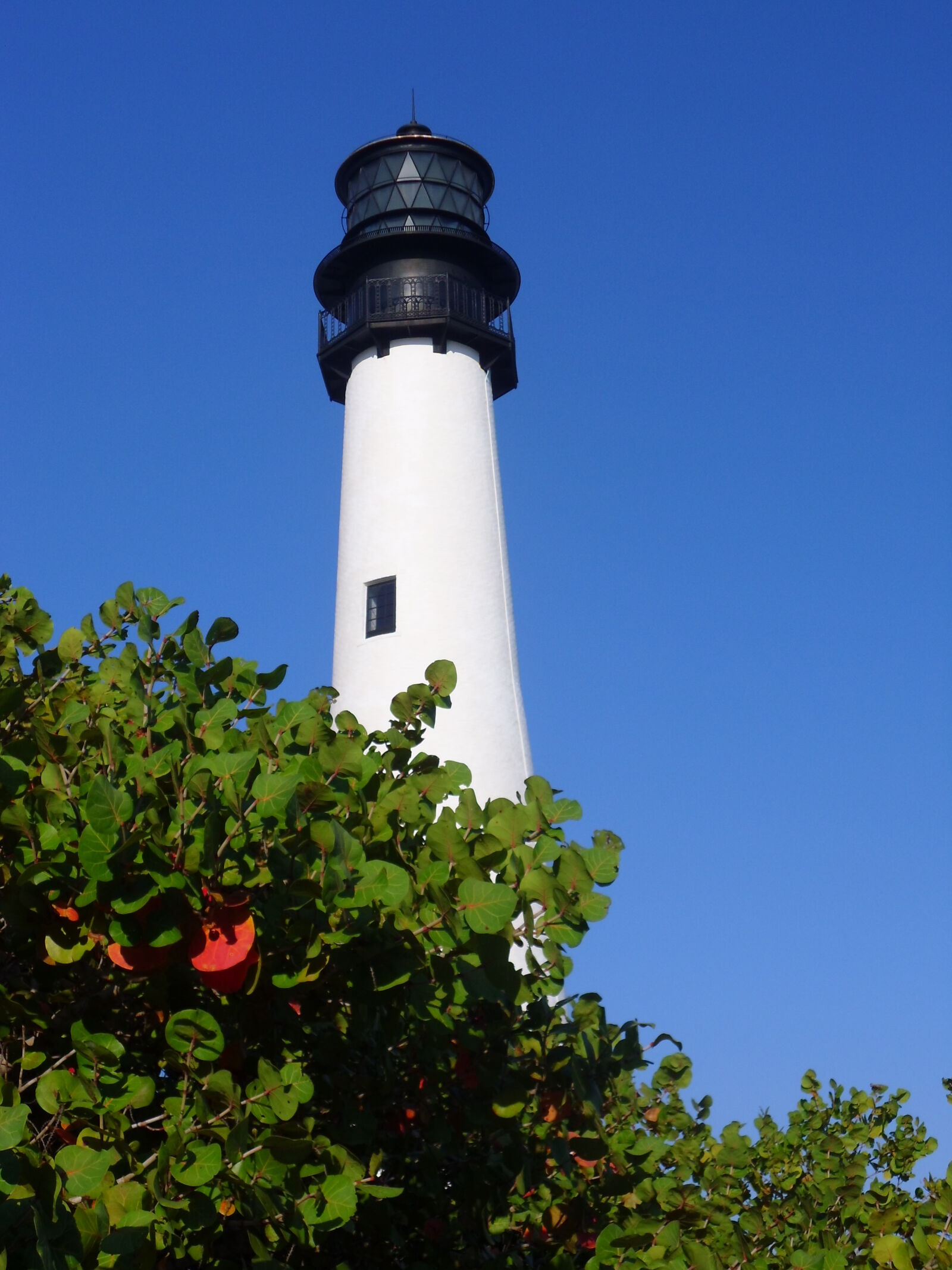 Samsung PL200/VLUU PL200 sample photo. Cape, florida, park, lighthouse photography
