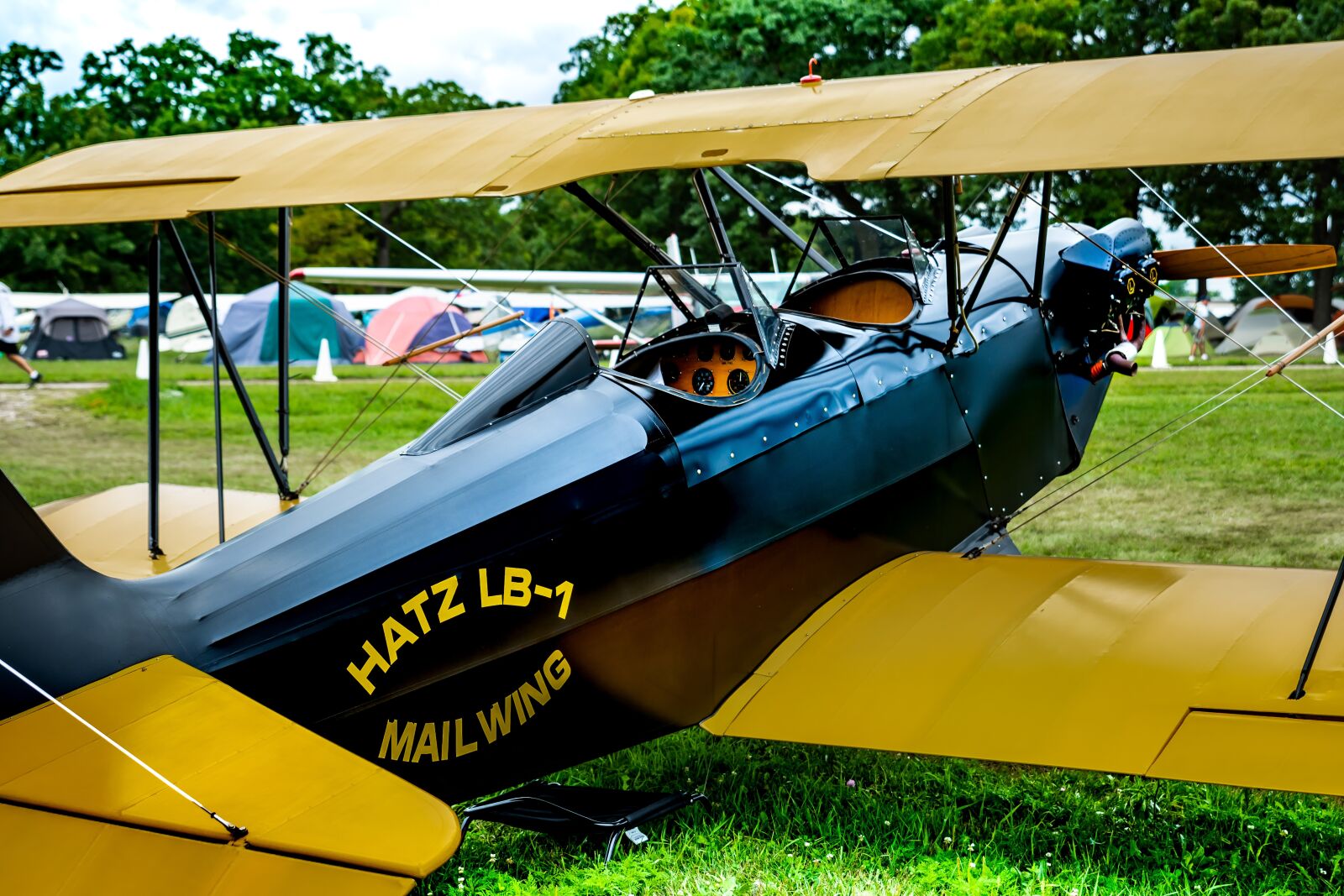 Nikon D500 + Tamron SP 24-70mm F2.8 Di VC USD sample photo. Airplane, biplane, plane photography