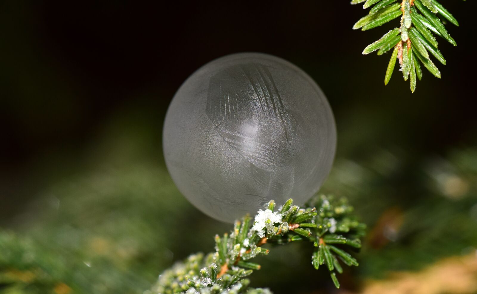 Nikon D3300 sample photo. Bubble, soap bubble, frozen photography