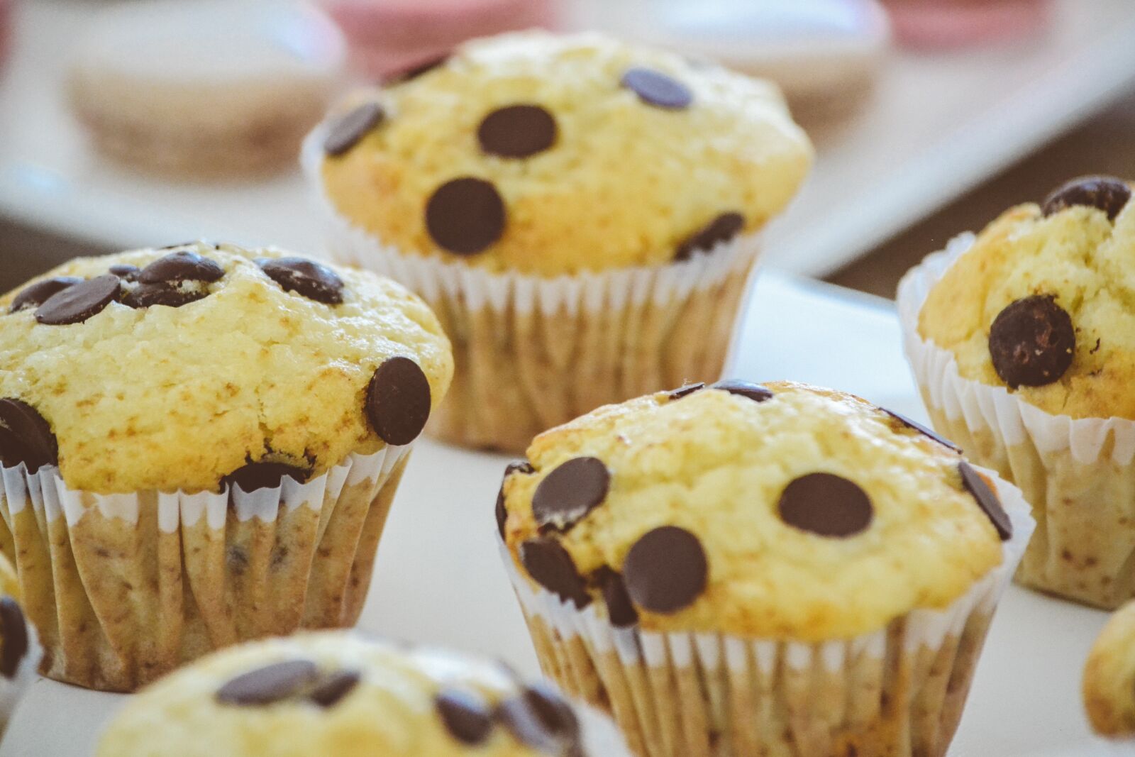 Nikon D3100 sample photo. Bakery, cupcakes, muffin photography