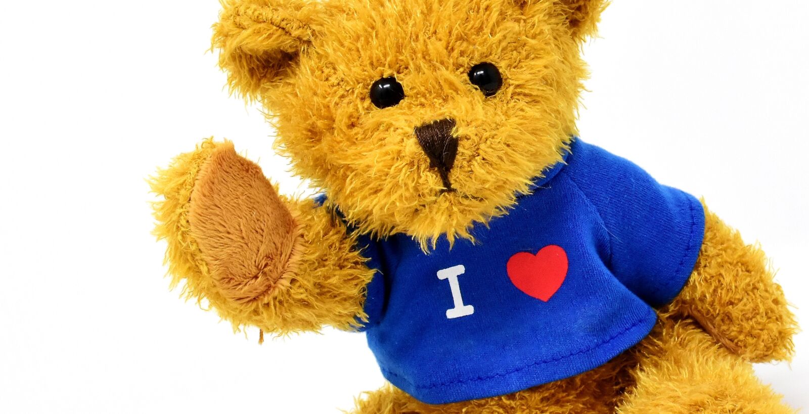 Nikon D7200 sample photo. Teddy, cute, soft toy photography