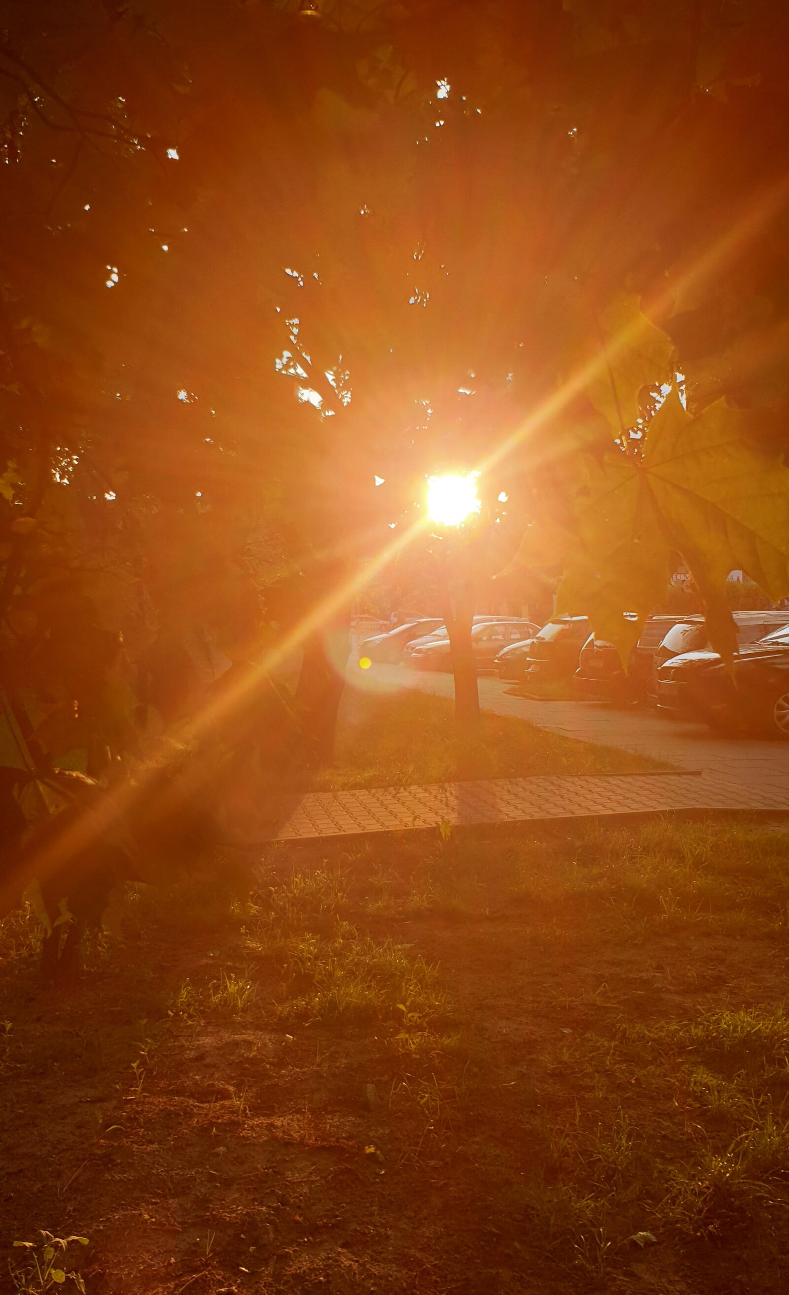 Samsung Galaxy S9+ sample photo. The sun, retro, vintage photography