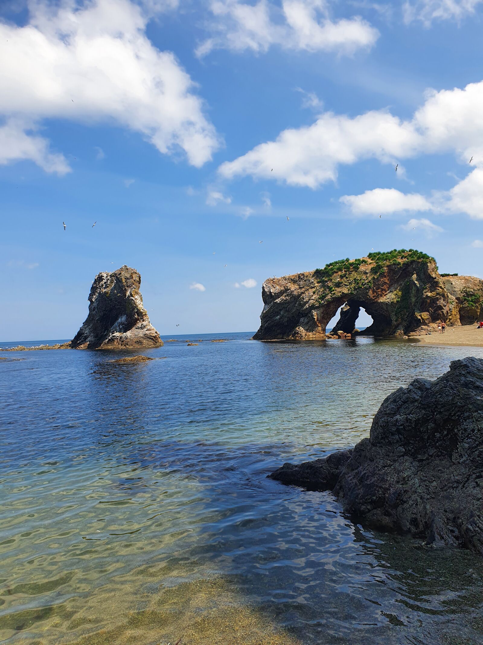 Samsung Galaxy S10 sample photo. Nature, sakhalin, giant photography